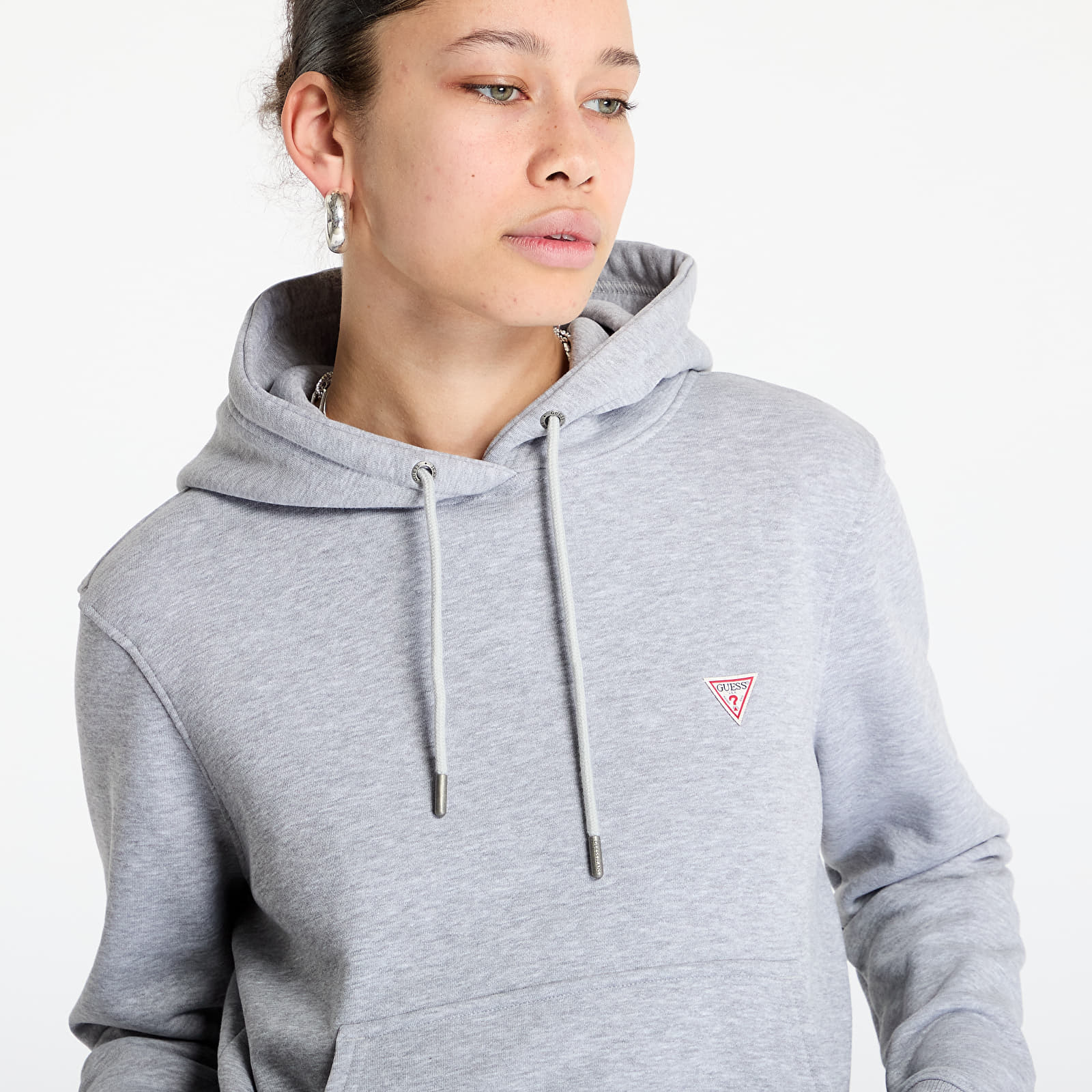 Hættetrøjer og sweatshirts Guess JEANS Hood Reg Mini Triang Sweat Medium Grey Heath