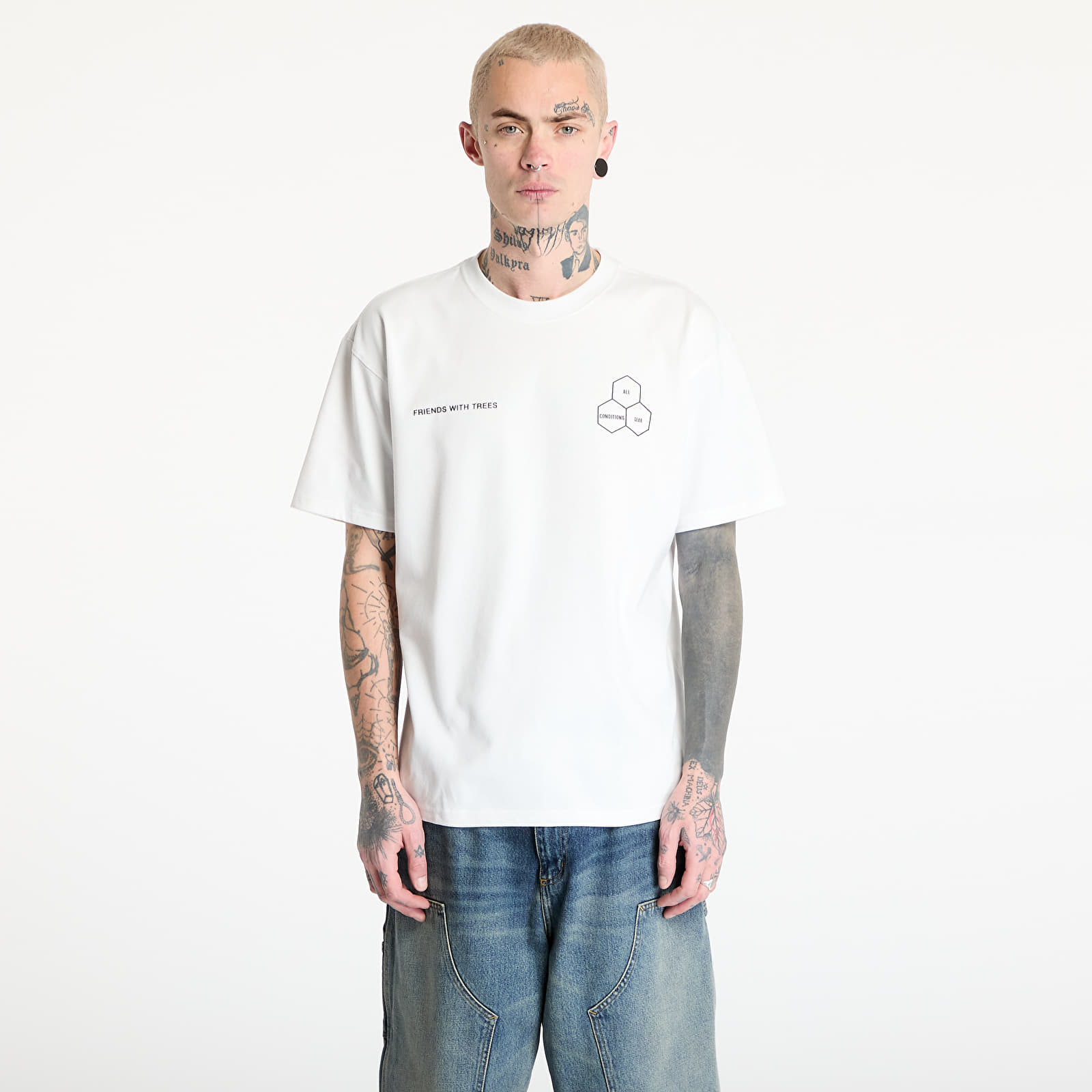 Men's T-shirts Nike ACG "Walking Tree" Men's Dri-FIT T-Shirt Summit White