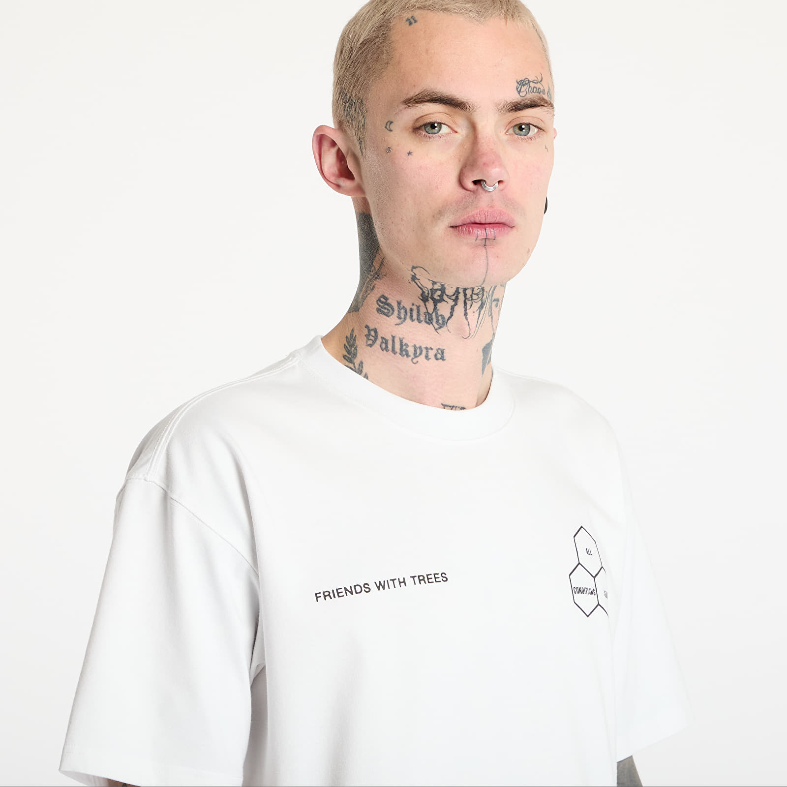 Men's T-shirts Nike ACG "Walking Tree" Men's Dri-FIT T-Shirt Summit White