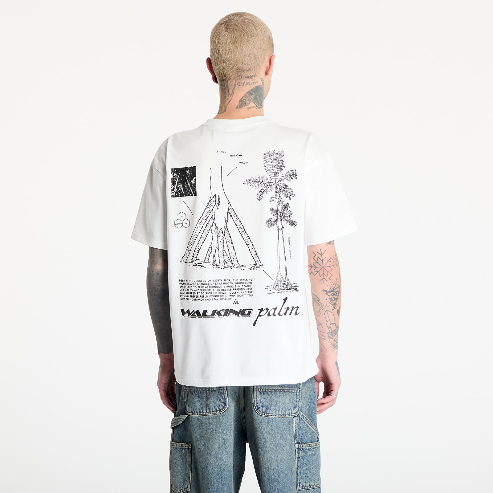 Men's T-shirts Nike ACG "Walking Tree" Men's Dri-FIT T-Shirt Summit White