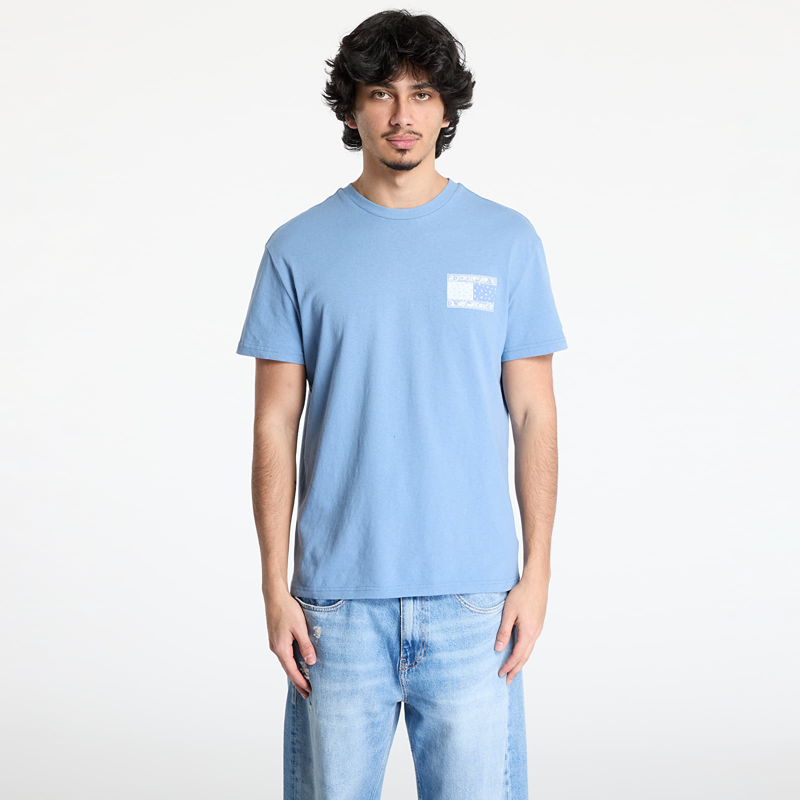 Meeste T-särgid Tommy Jeans Regular Paisley Flag Tee Blue