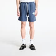 Tommy Jeans Regular Varsity Grap Shorts Blue