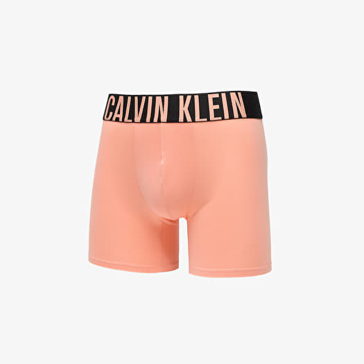 Boxer Shorts Mens Underwear Calvin Klein Underwear Logo Boxer