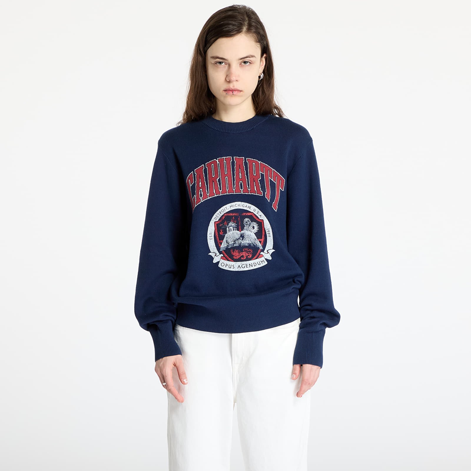 Férfi pulóverek Carhartt WIP Library College Sweater UNISEX Ink