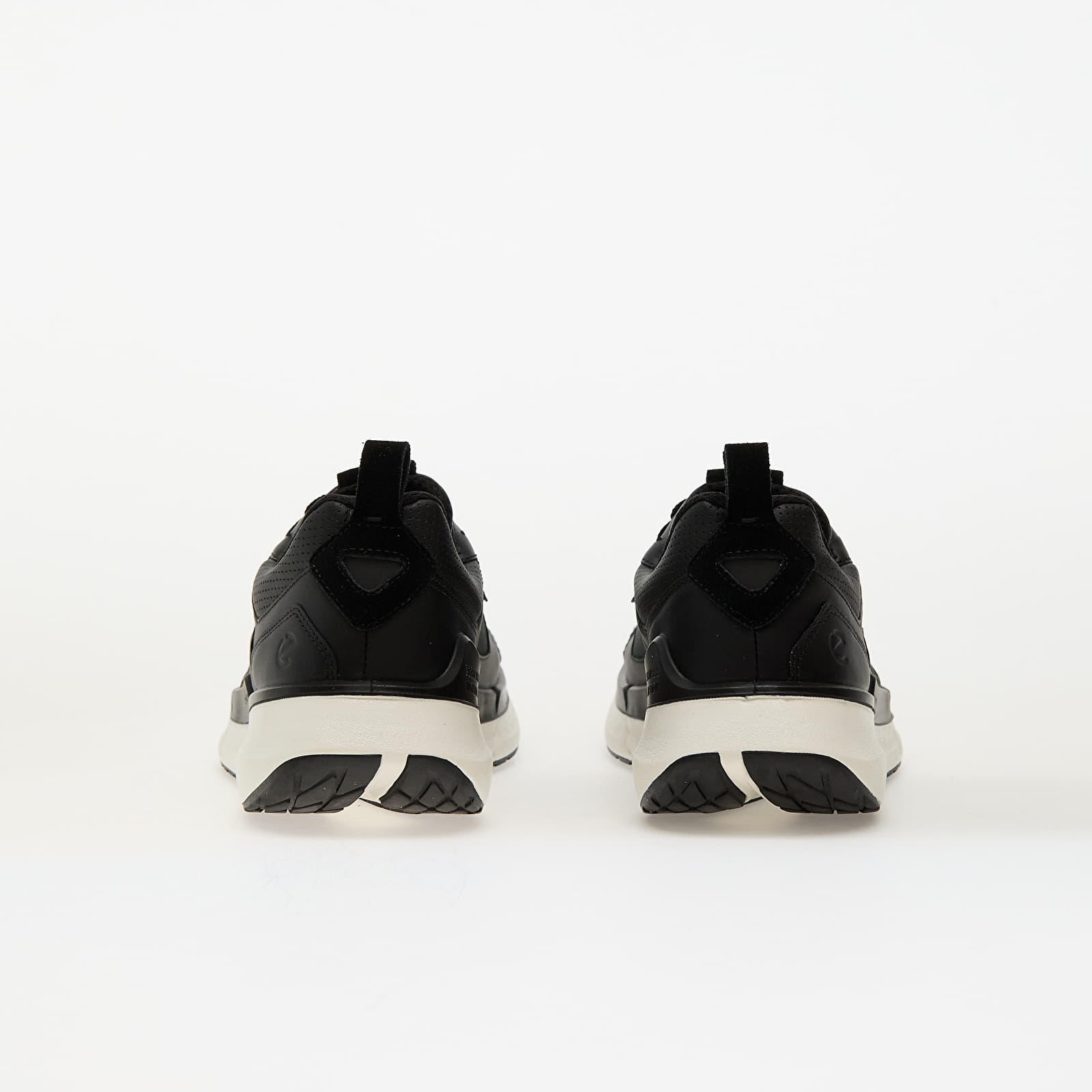 Moški čevlji ECCO Biom 2.2 M Black