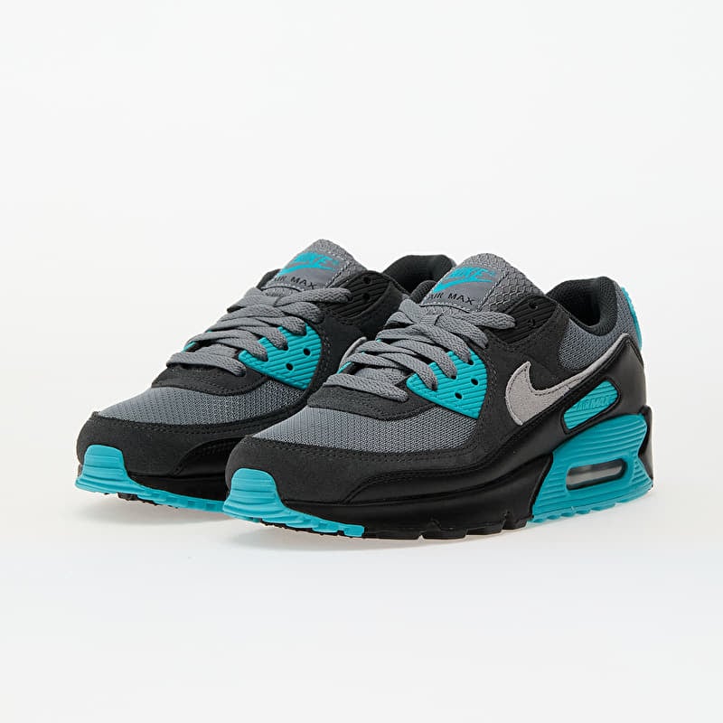 Nike Air Max 90 Cool Grey/ Wolf Grey-Dusty Cactus-Black | Queens