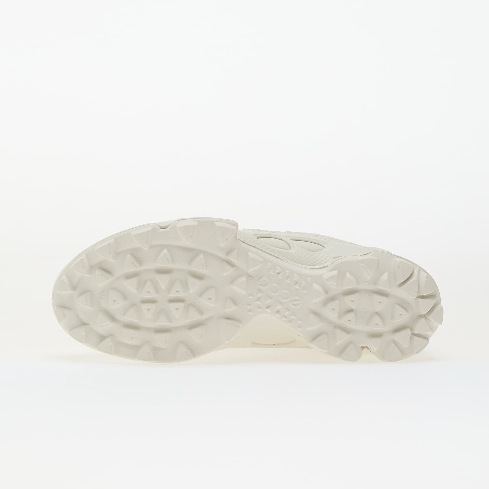 Men's sneakers and shoes ECCO Biom C-Trail M White