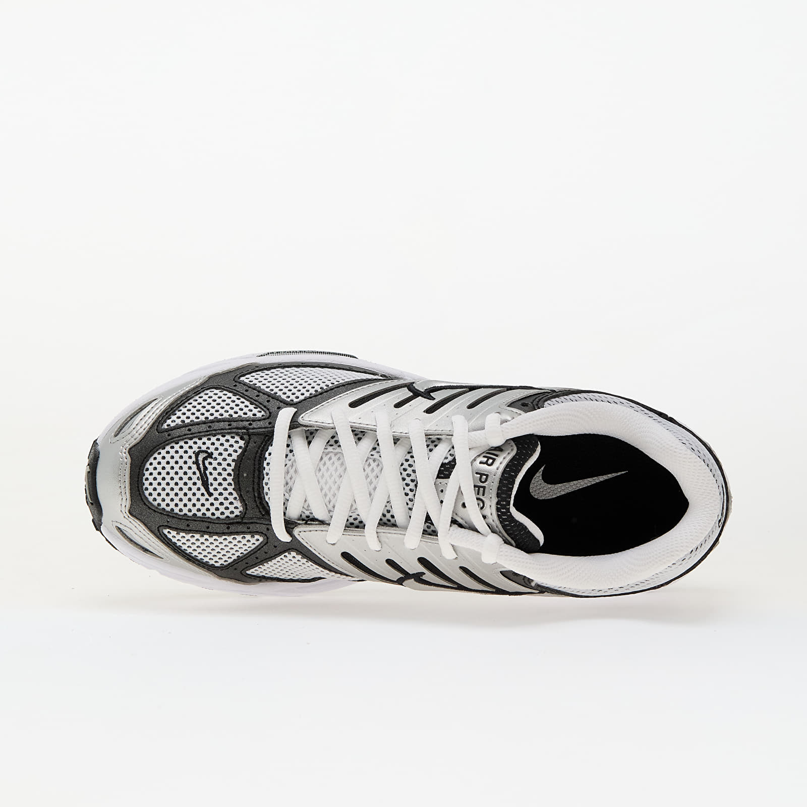 Meeste tossud ja kingad Nike Air Pegasus 2005 Metallic Silver/ Metallic Silver-White