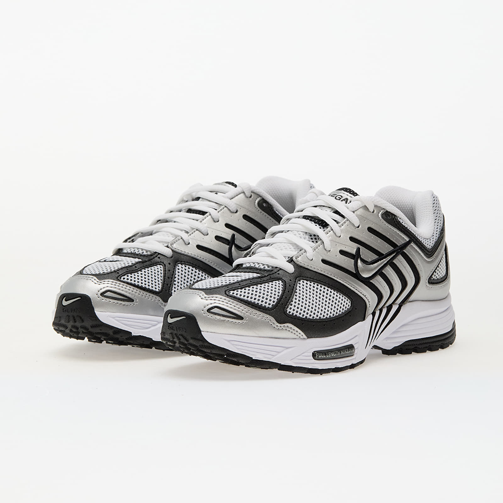 Meeste tossud ja kingad Nike Air Pegasus 2005 Metallic Silver/ Metallic Silver-White