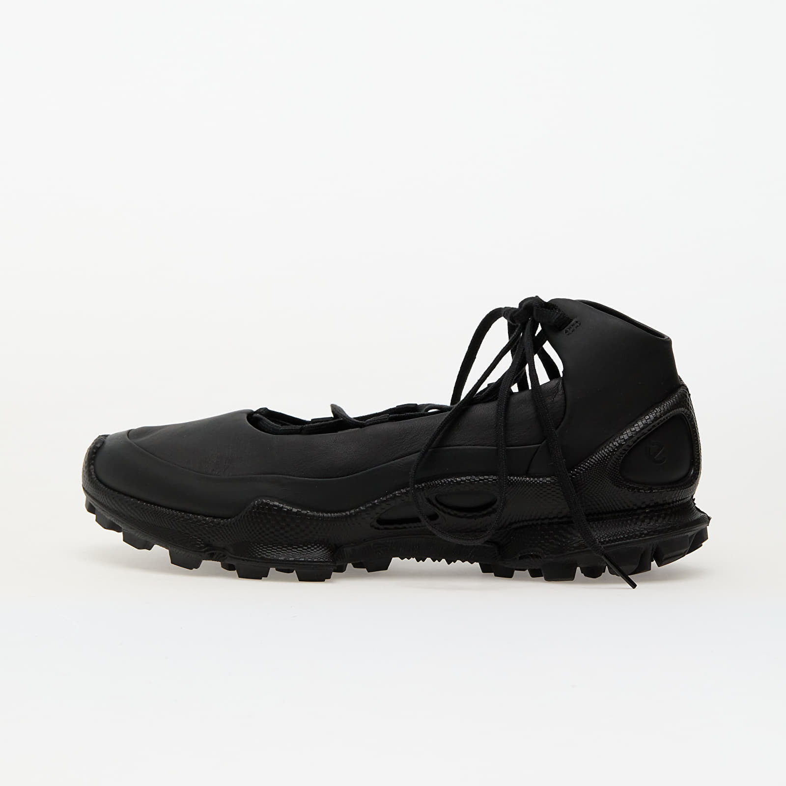 Naiste tossud ja kingad ECCO Biom C-Trail W Black
