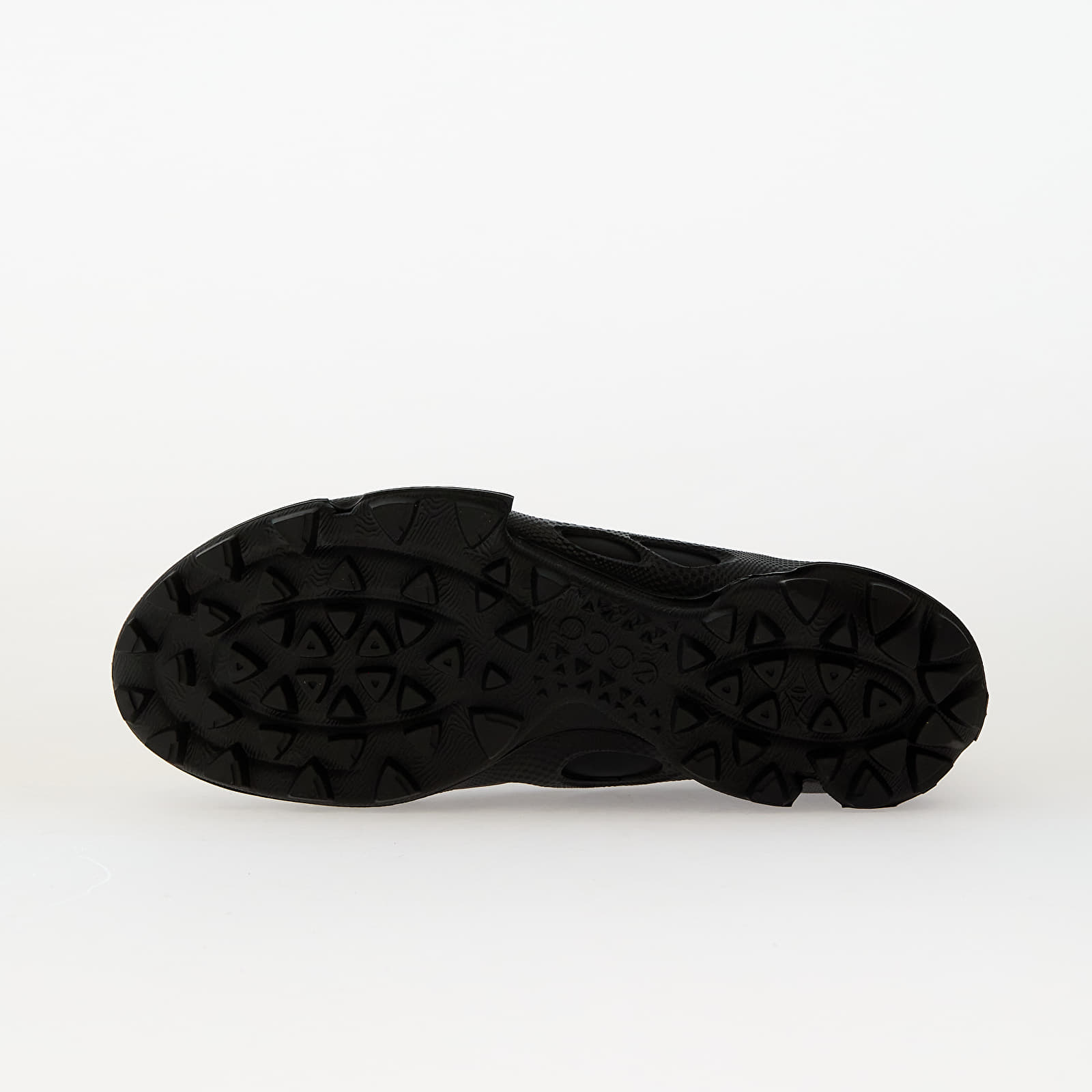 Naiste tossud ja kingad ECCO Biom C-Trail W Black