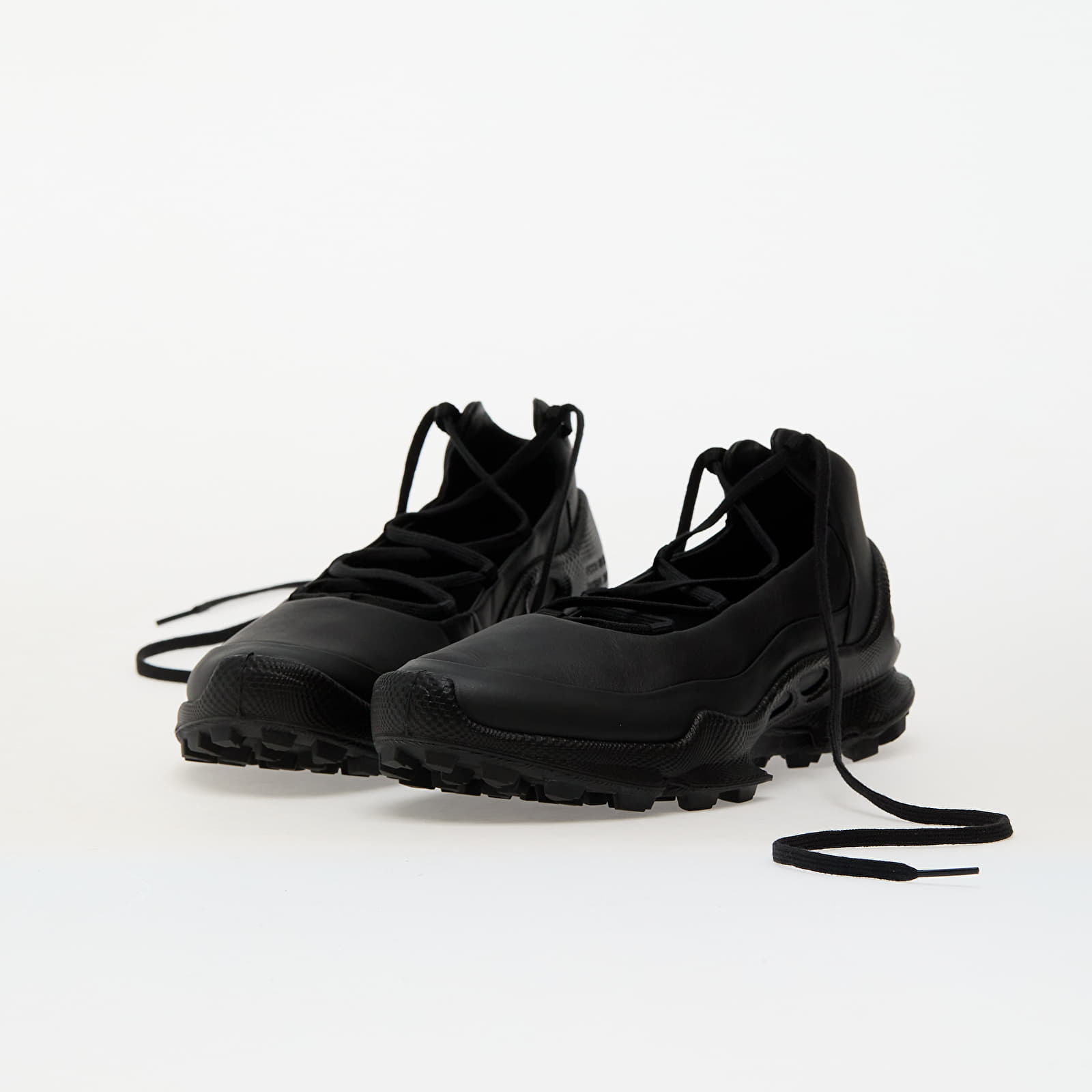 Naiste tossud ja kingad ECCO Biom C-Trail W Black