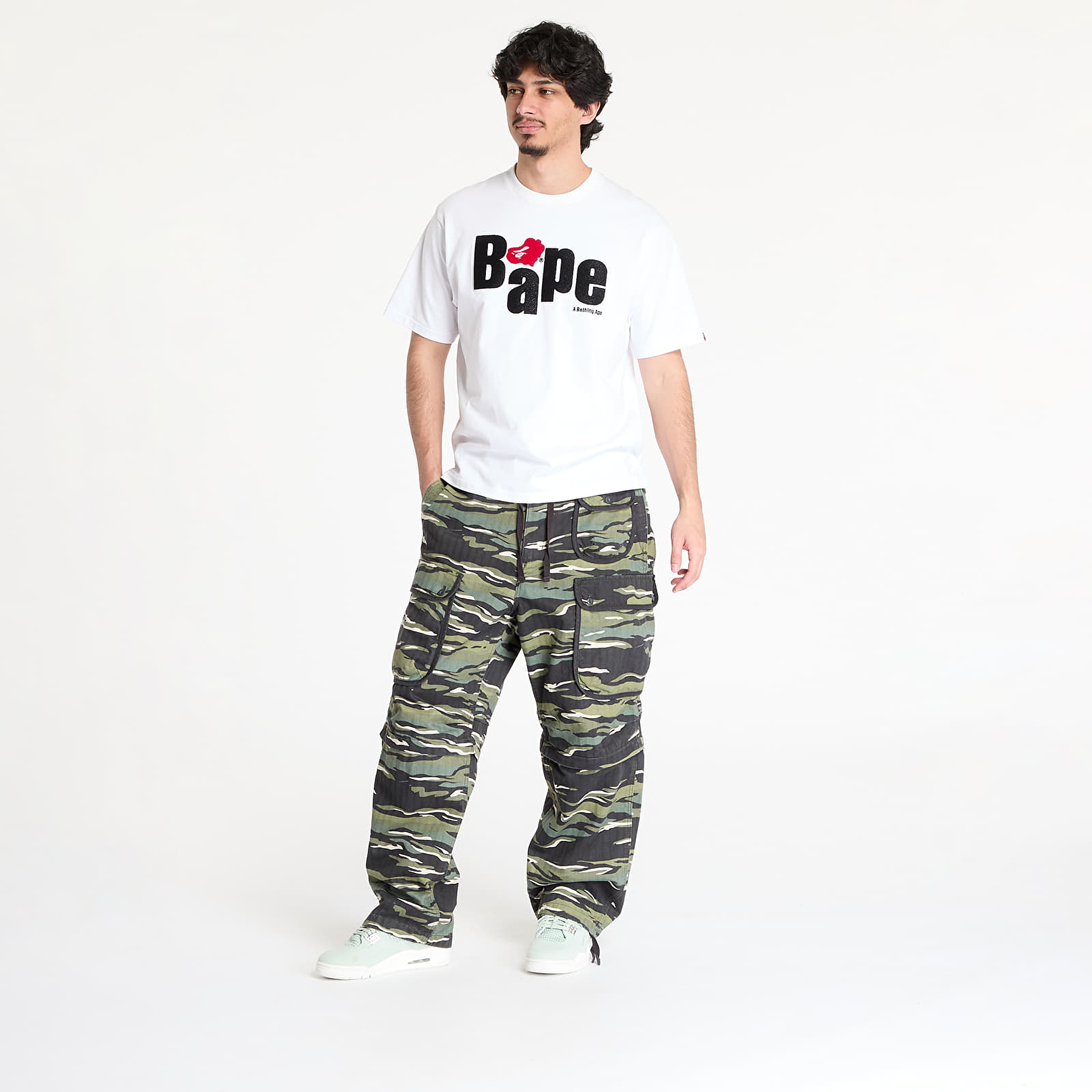 Pantalones de hombre Vans LX Terrain Cargo Pant Camo
