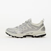ECCO Biom C-Trail W Silver