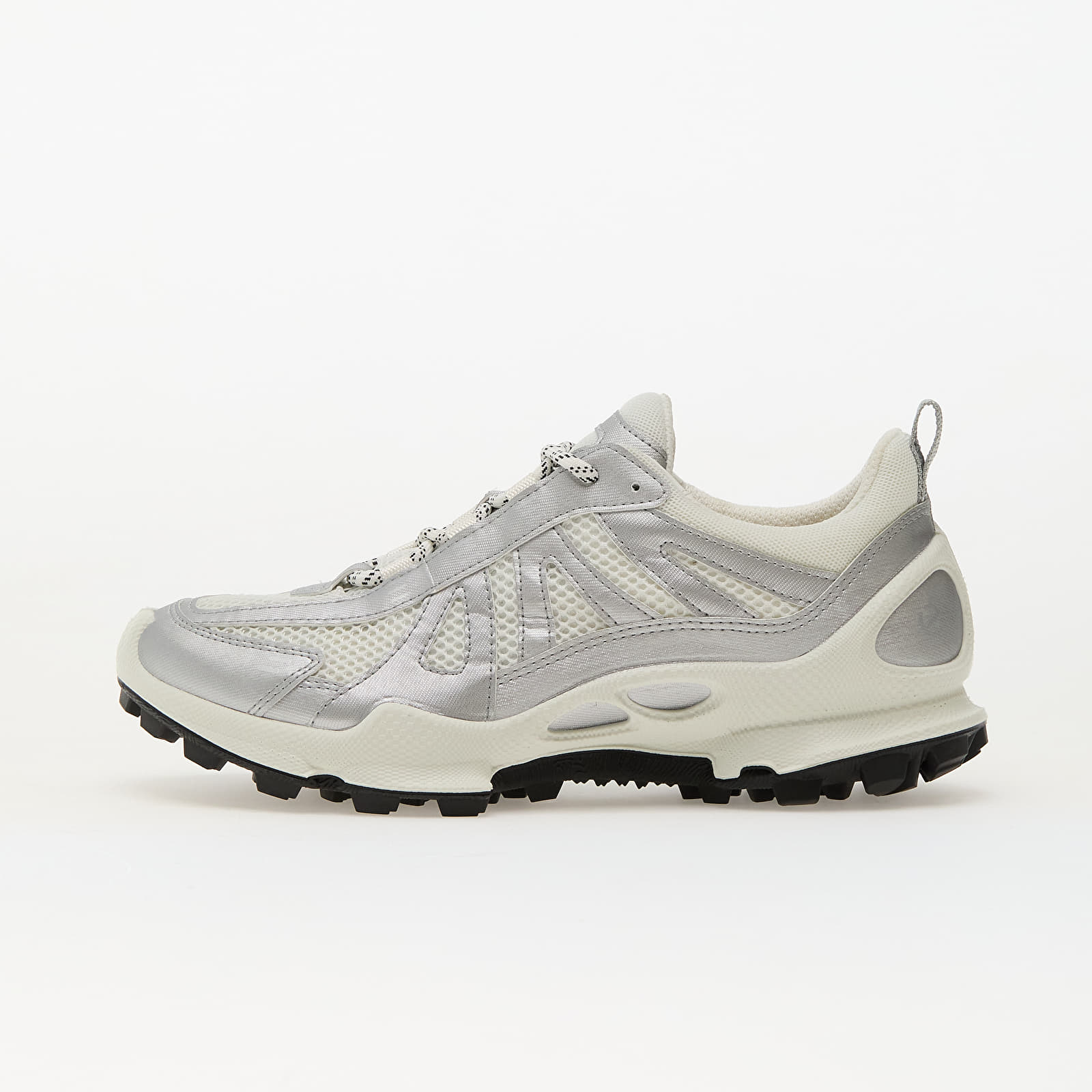 Naiste tossud ja kingad ECCO Biom C-Trail W Silver
