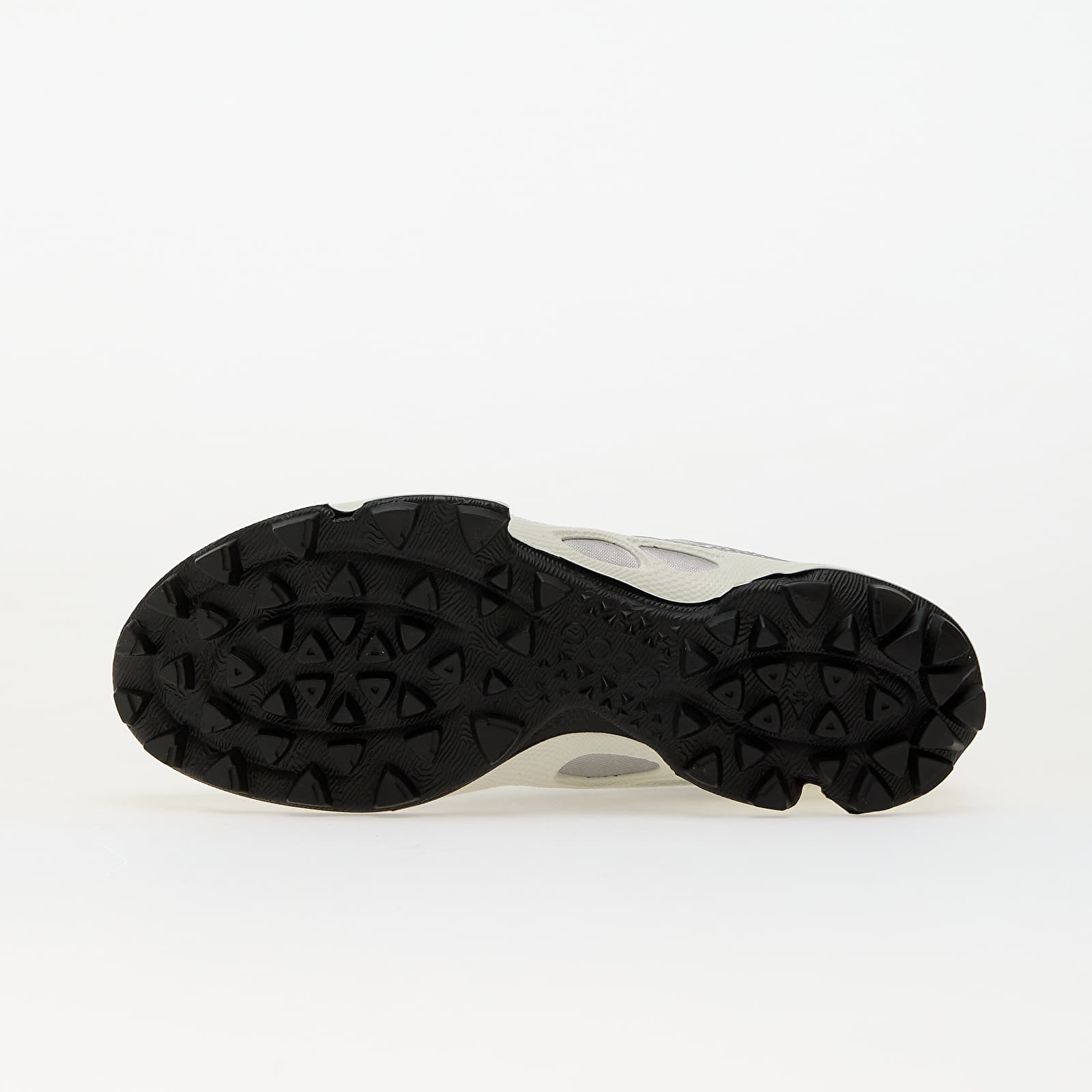 Naiste tossud ja kingad ECCO Biom C-Trail W Silver