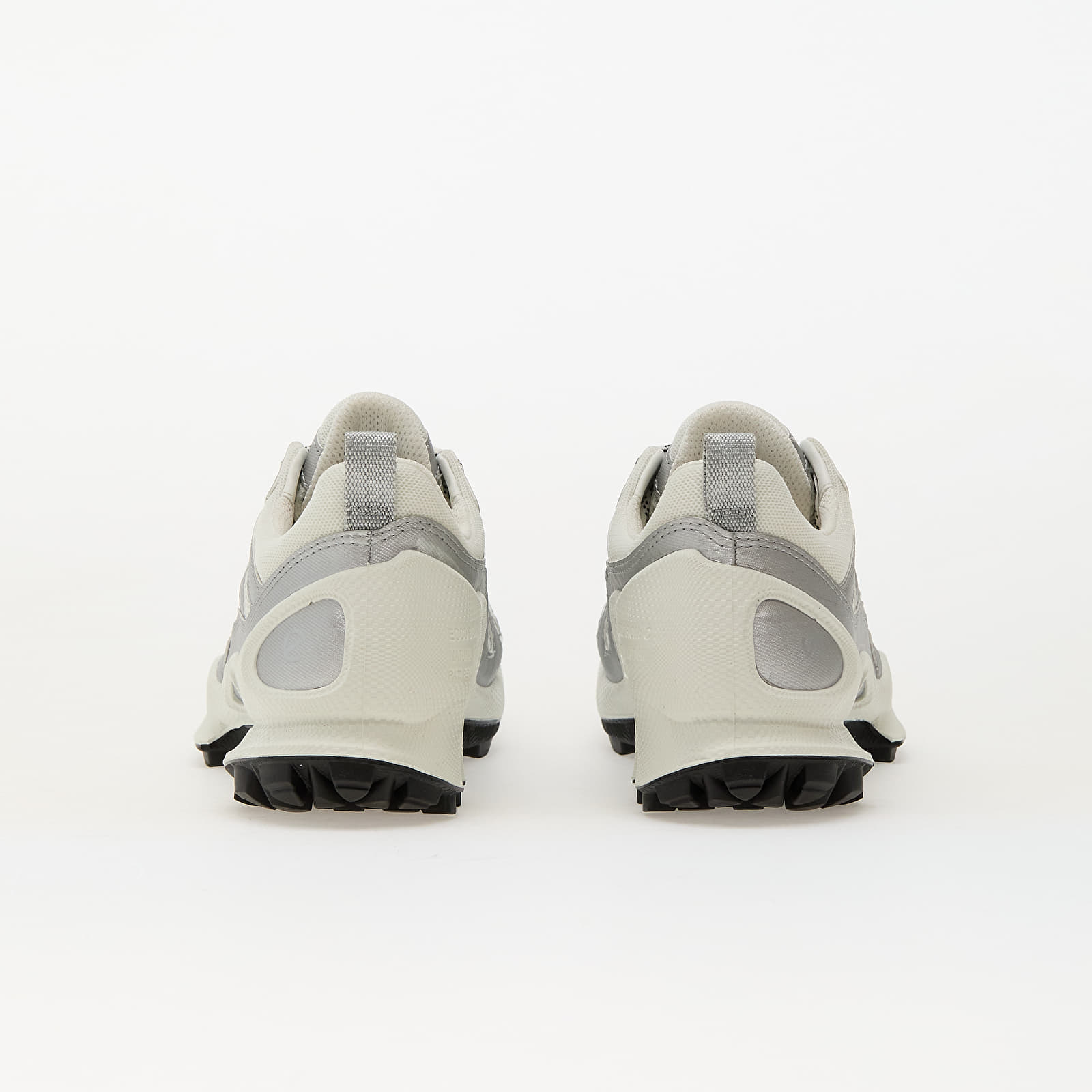 Joggesko og sko for kvinner ECCO Biom C-Trail W Silver