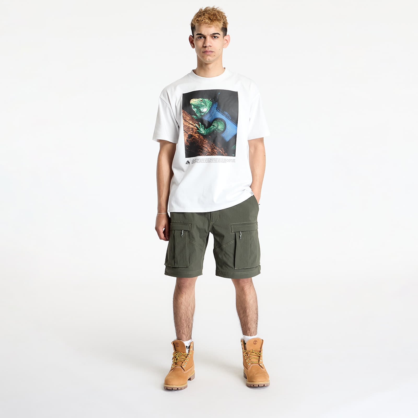 Bukser til mænd Nike ACG "Smith Summit" Men's Cargo Pants Sequoia/ Medium Olive/ Summit White