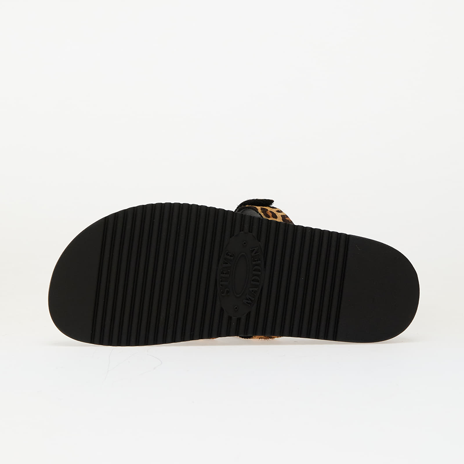 Ženske tenisice Steve Madden Missile-LC Leopard