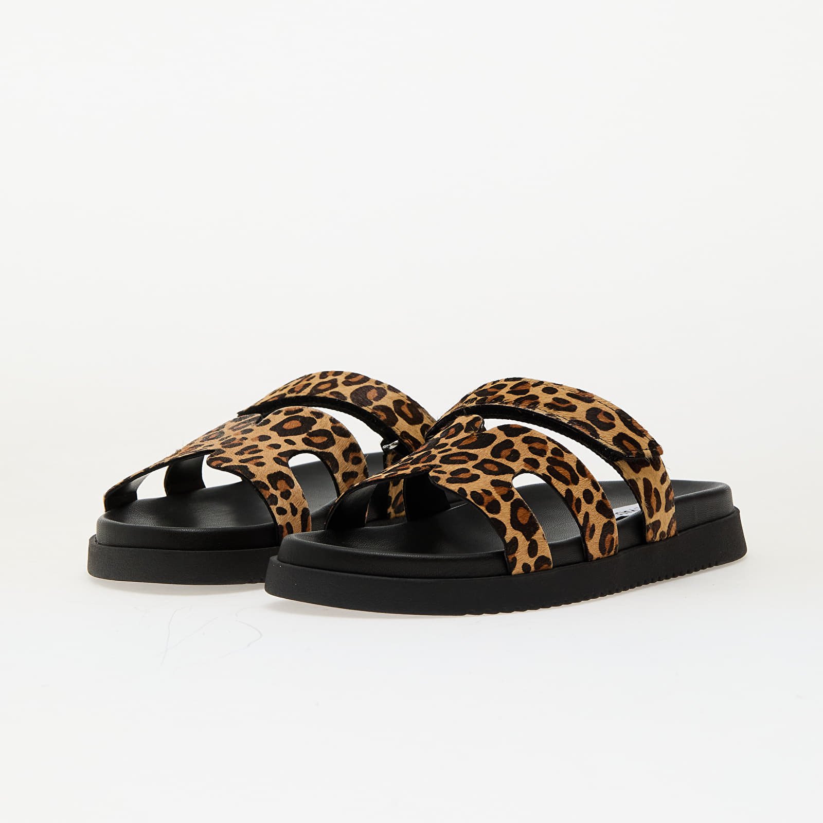 Ženske tenisice Steve Madden Missile-LC Leopard