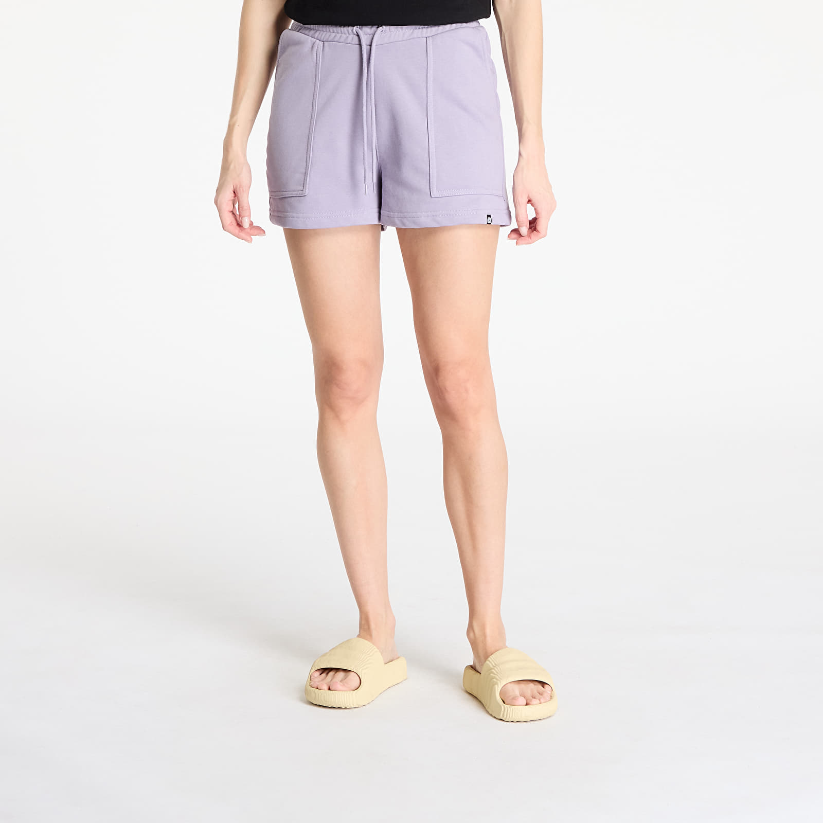 Naisten shortsit Horsefeathers Enzo Shorts Lavender