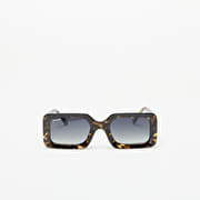 D.Franklin Bahamas Sunglasses Dark Grey/ Grad Brown