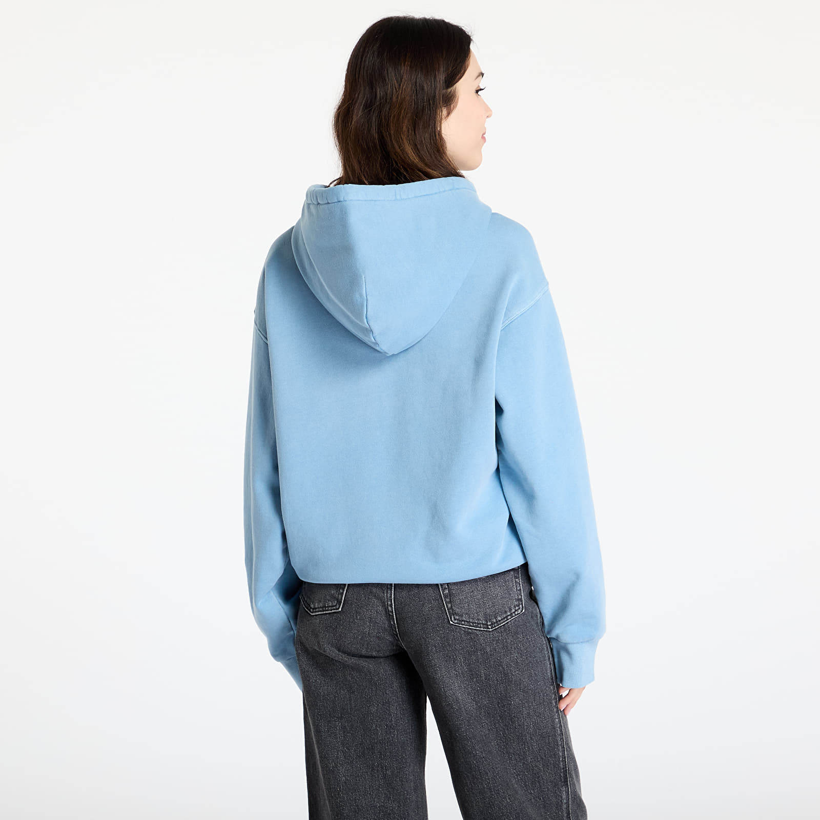 Heren sweatshirts Carhartt WIP Hooded Nelson Sweat UNISEX Clay Blue Garment Dyed
