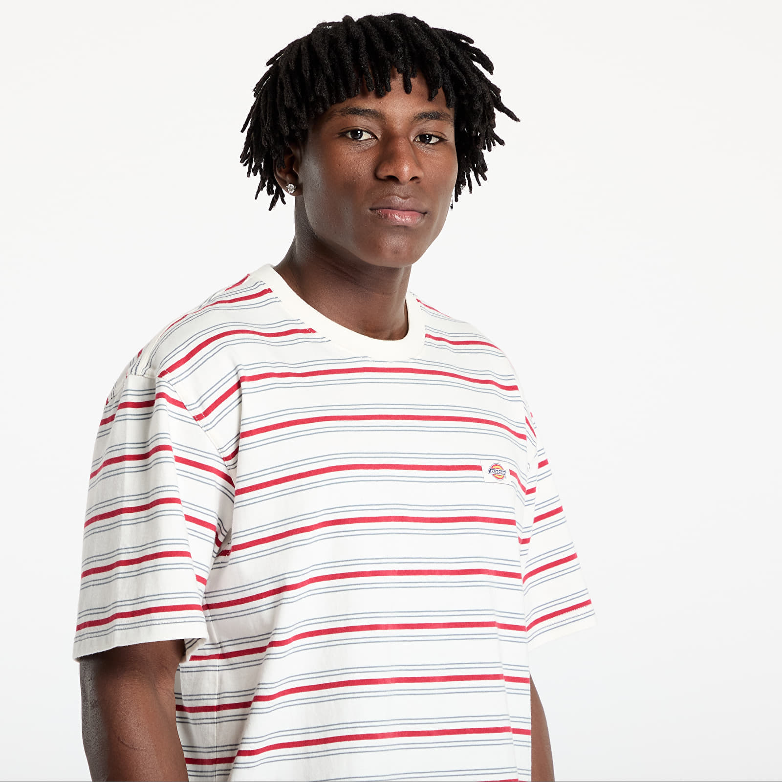 T-shirt Dickies Lewistown Stripe Short Sleeve Tee Egret XXL
