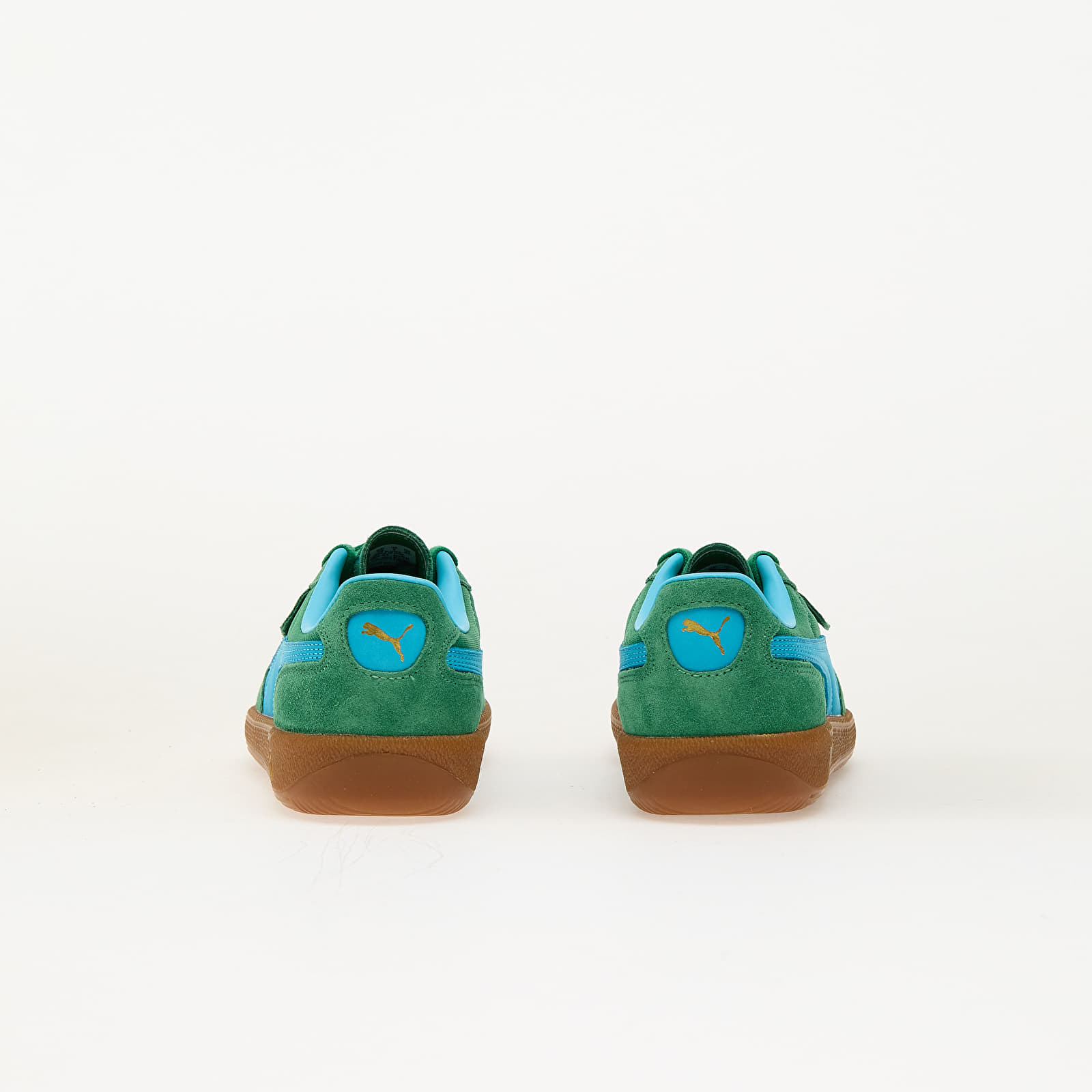 Meeste tossud ja kingad Puma Palermo Vintage Update Archive Green-Bright Aqua