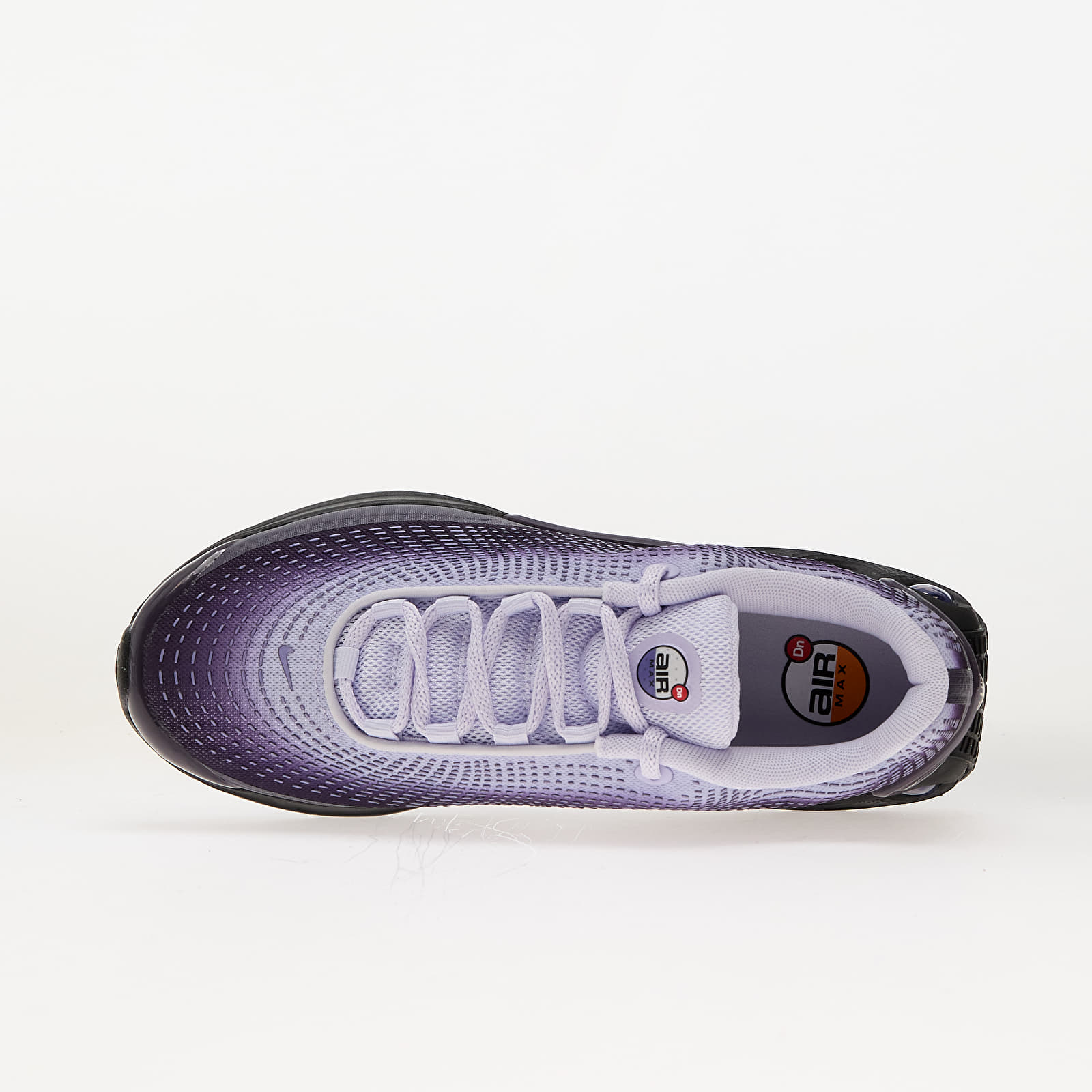 Damesschoenen Nike W Air Max Dn Dark Raisin/ Amethyst Tint-Dusty Amethyst