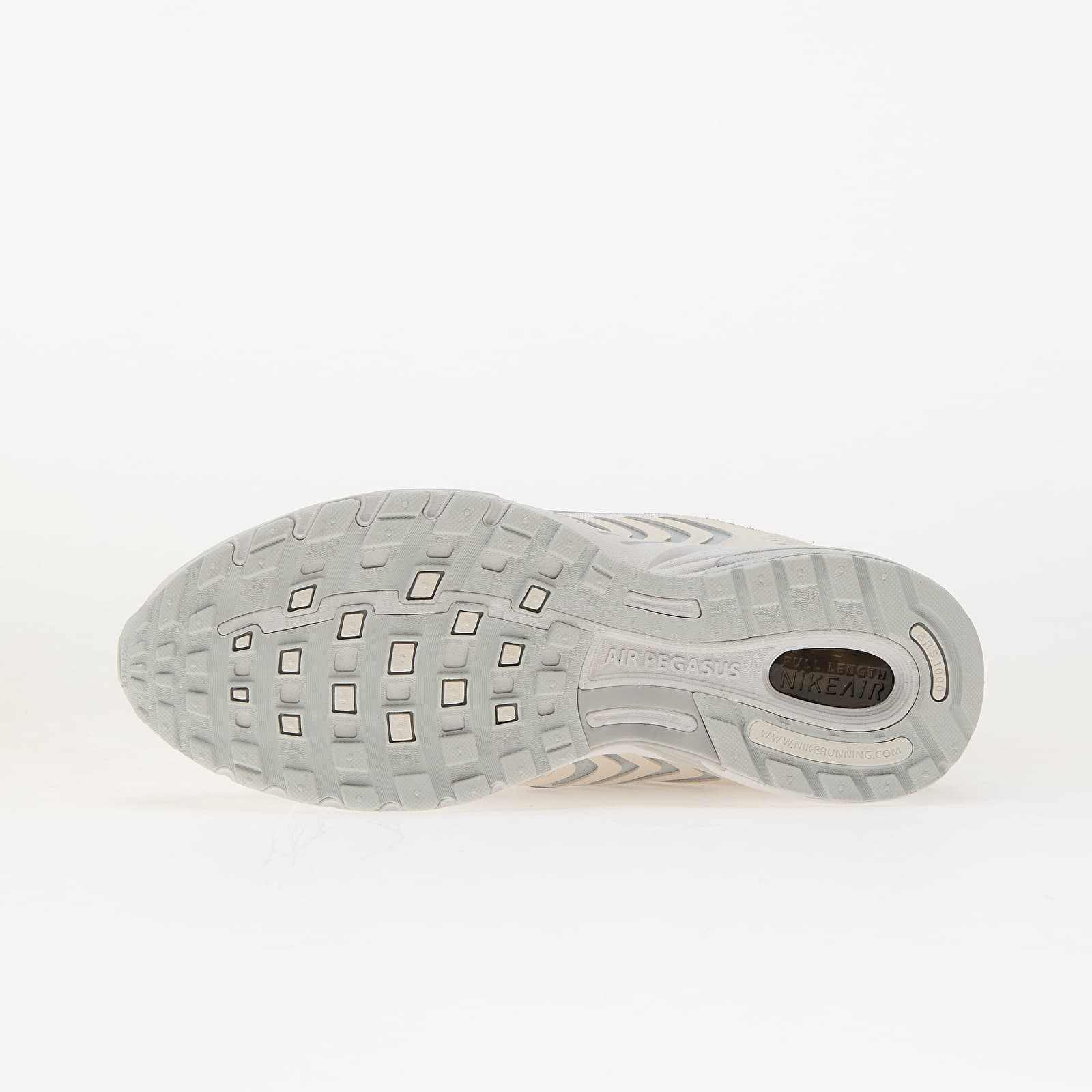 Meeste tossud ja kingad Nike Air Pegasus 2005 Se Platinum Tint/ Mtlc Platinum