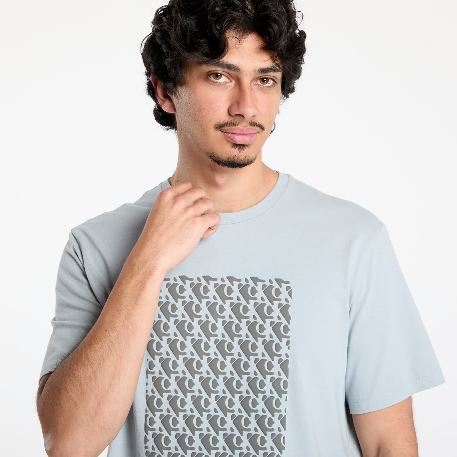Heren T-shirts Calvin Klein Jeans Short Sleeve Tee Quarry