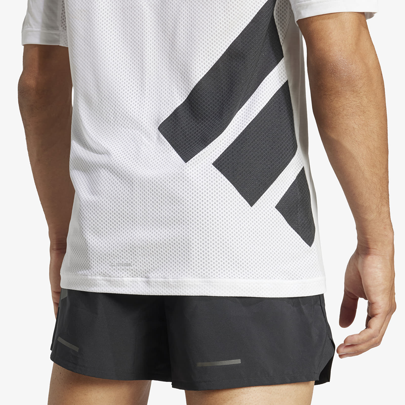 Pánská trička adidas Terrex Xperior Climacool+ T-Shirt White/ White