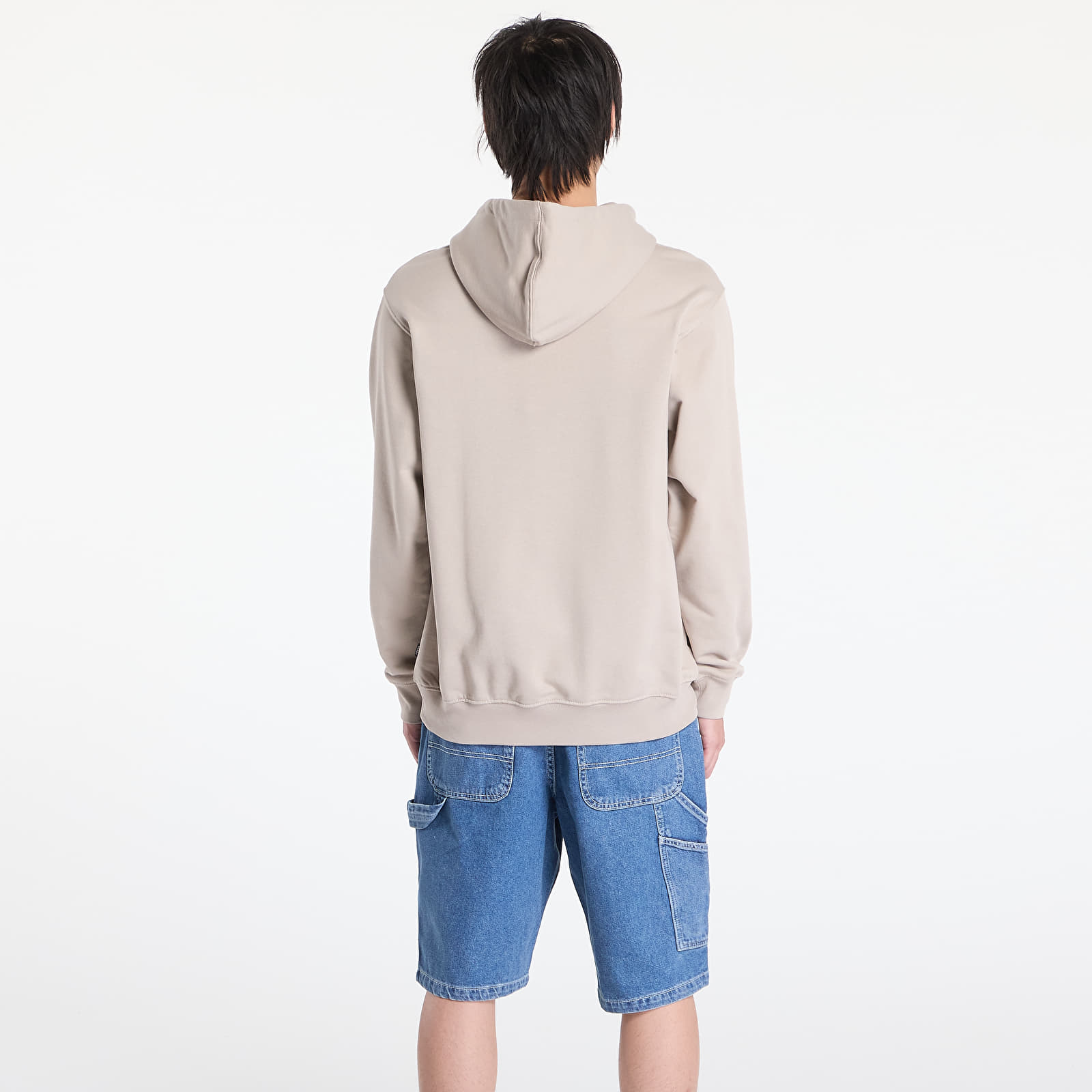 Meeste kampsunid Vans Blocked Box Pull Over Hoodie Mushroom
