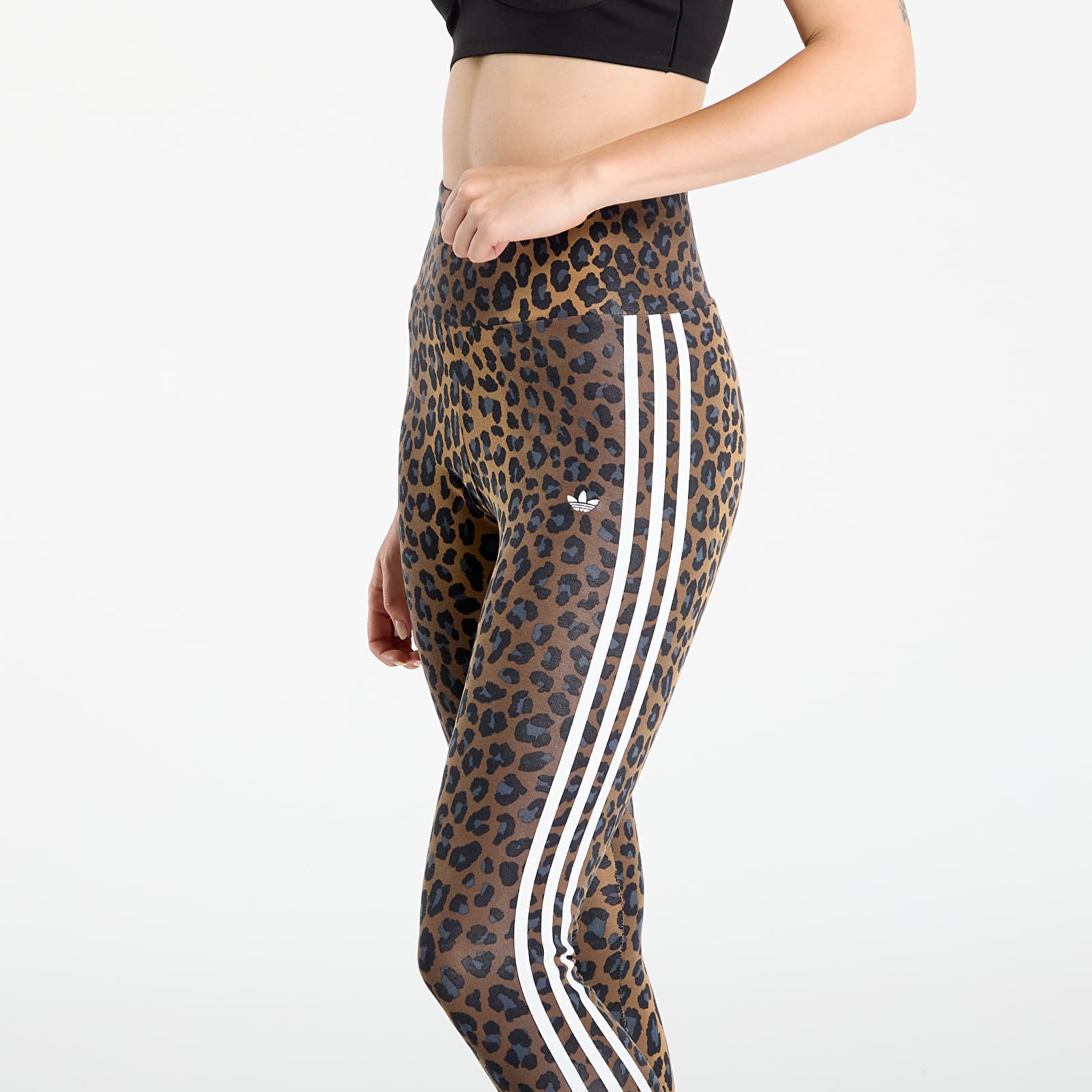 Women's Leggings adidas Leopard 3-Stripes Legging Multicolor