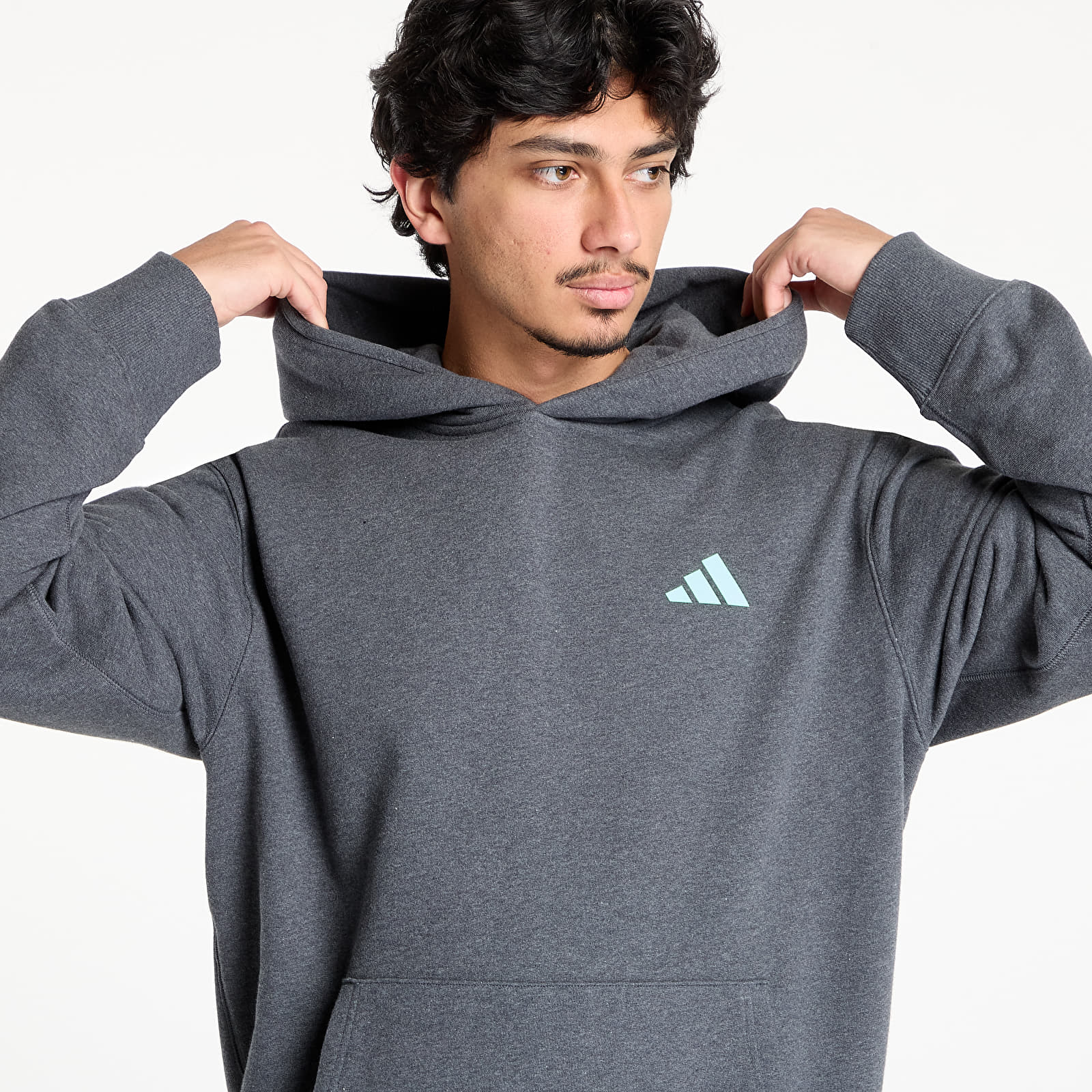 Men's sweatshirts adidas Mercedes - AMG Petronas Formula One Team Premium Sweat Hood Dark Grey Heather