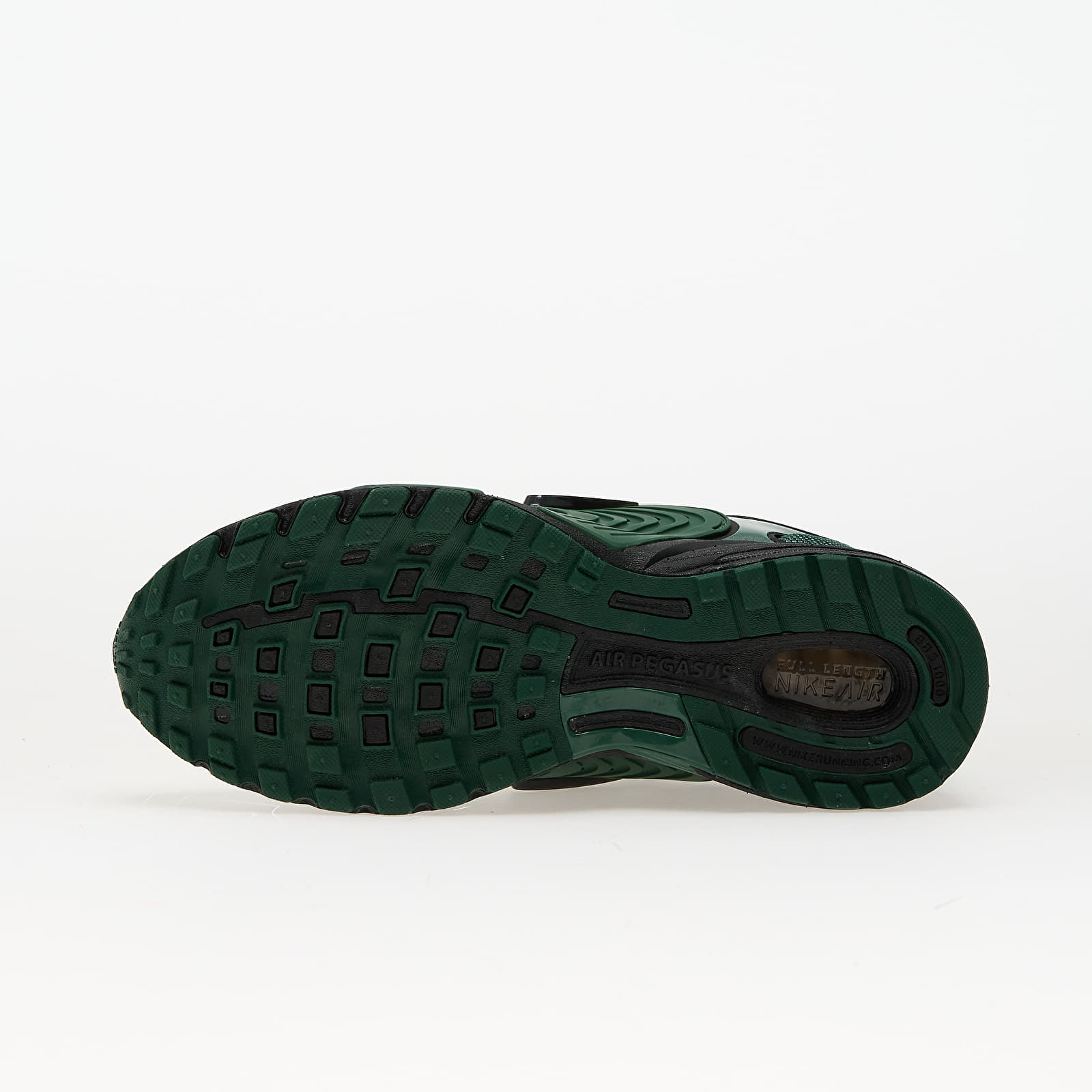 Men's sneakers and shoes Nike Air Pegasus Wave Fir/ Black