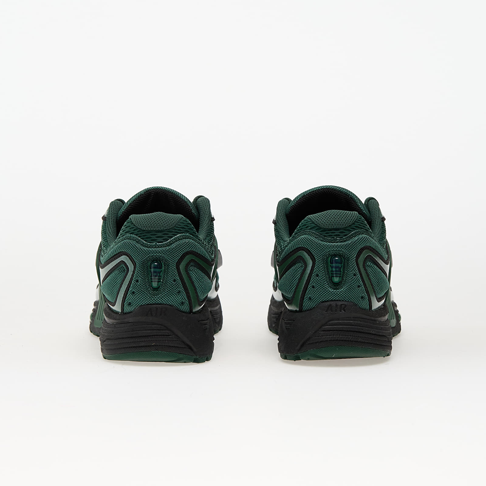 Men's sneakers and shoes Nike Air Pegasus Wave Fir/ Black