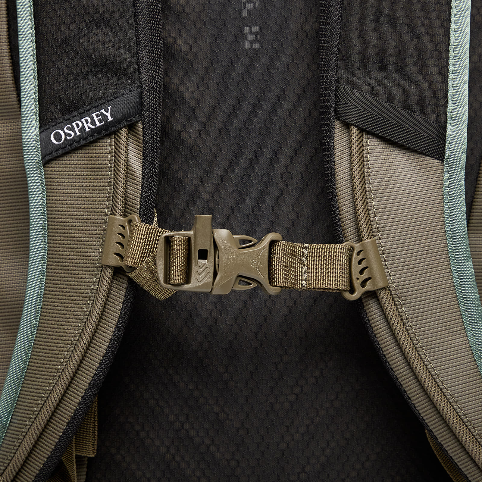 Rucksäcke für Männer Osprey Transporter Roll Top Pack Pine Leaf/ Earl Grey