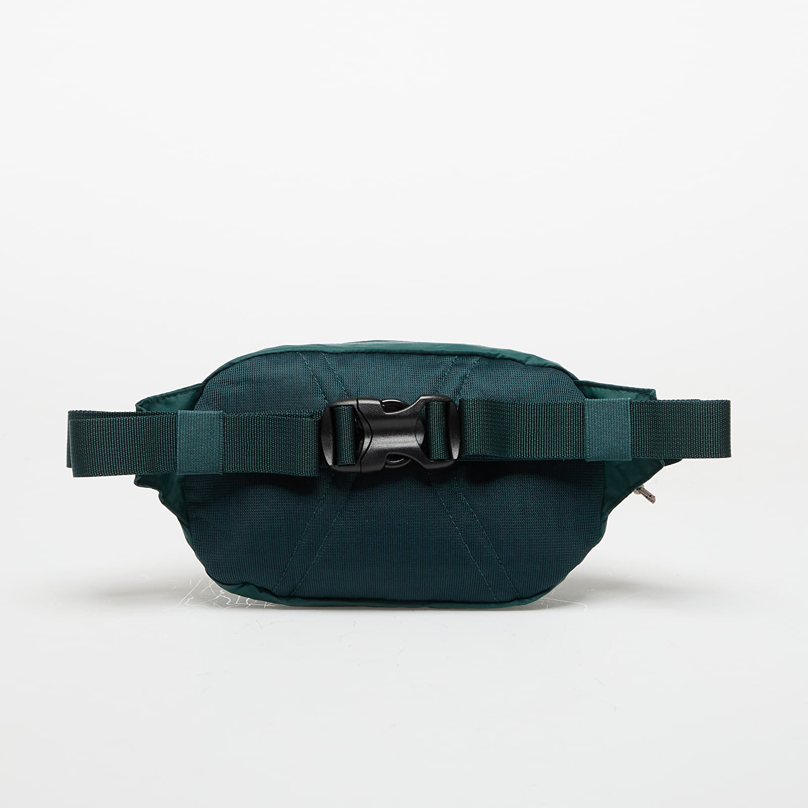 Pacotes de rim Pataognia Terravia Mini Hip Pack Cascade Green