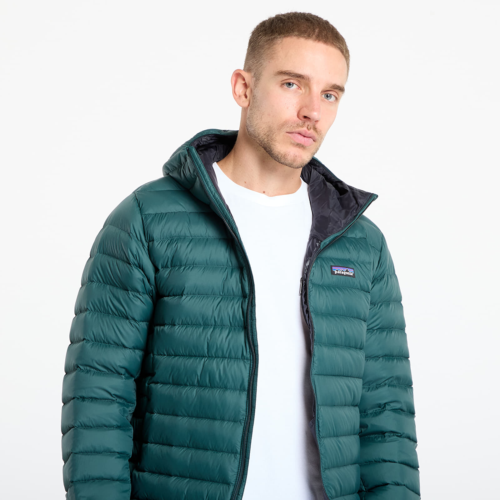Chaquetas Pataognia M's Down Sweater Hoody Cascade Green