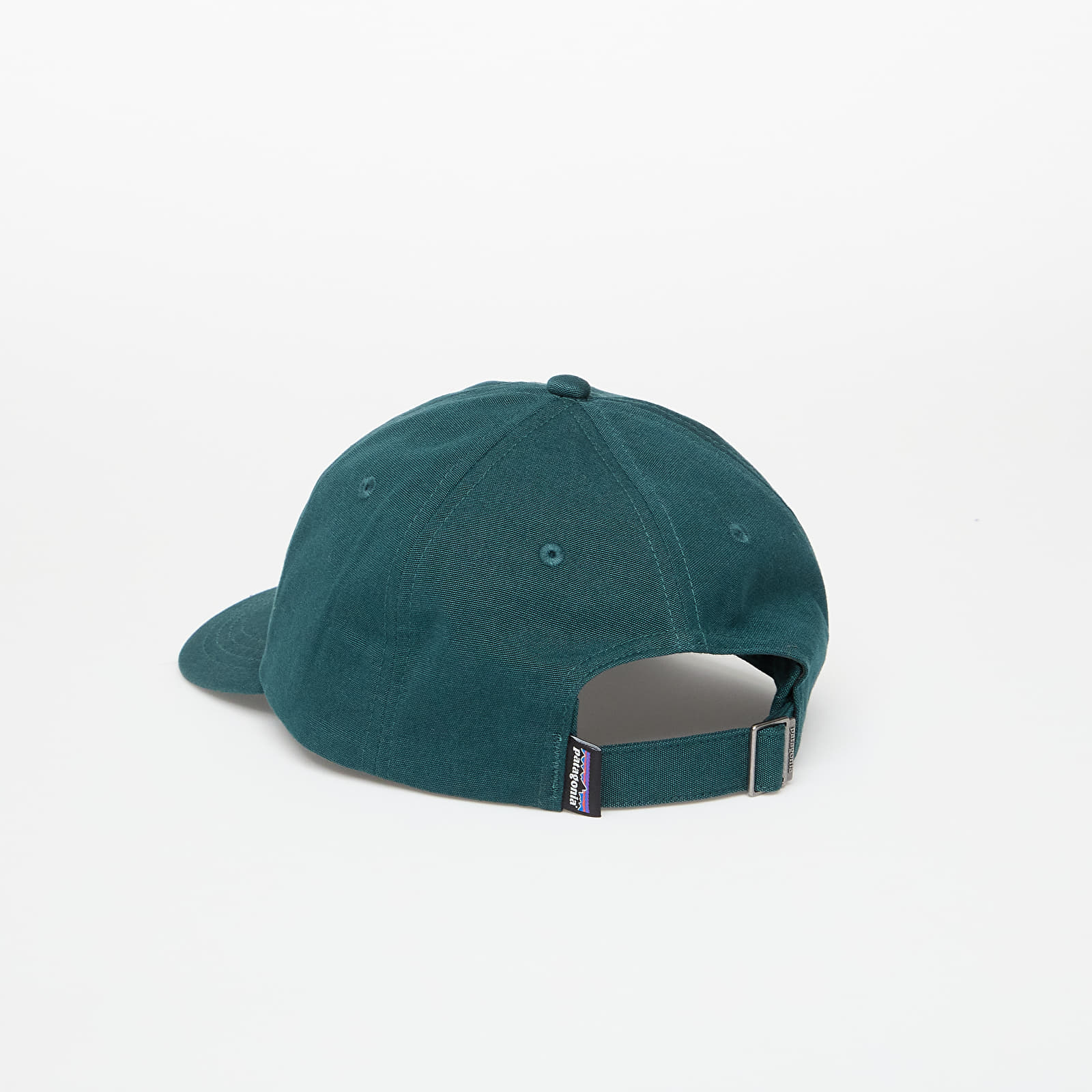 Caps Pataognia P-6 Label Trad Cap Cascade Green