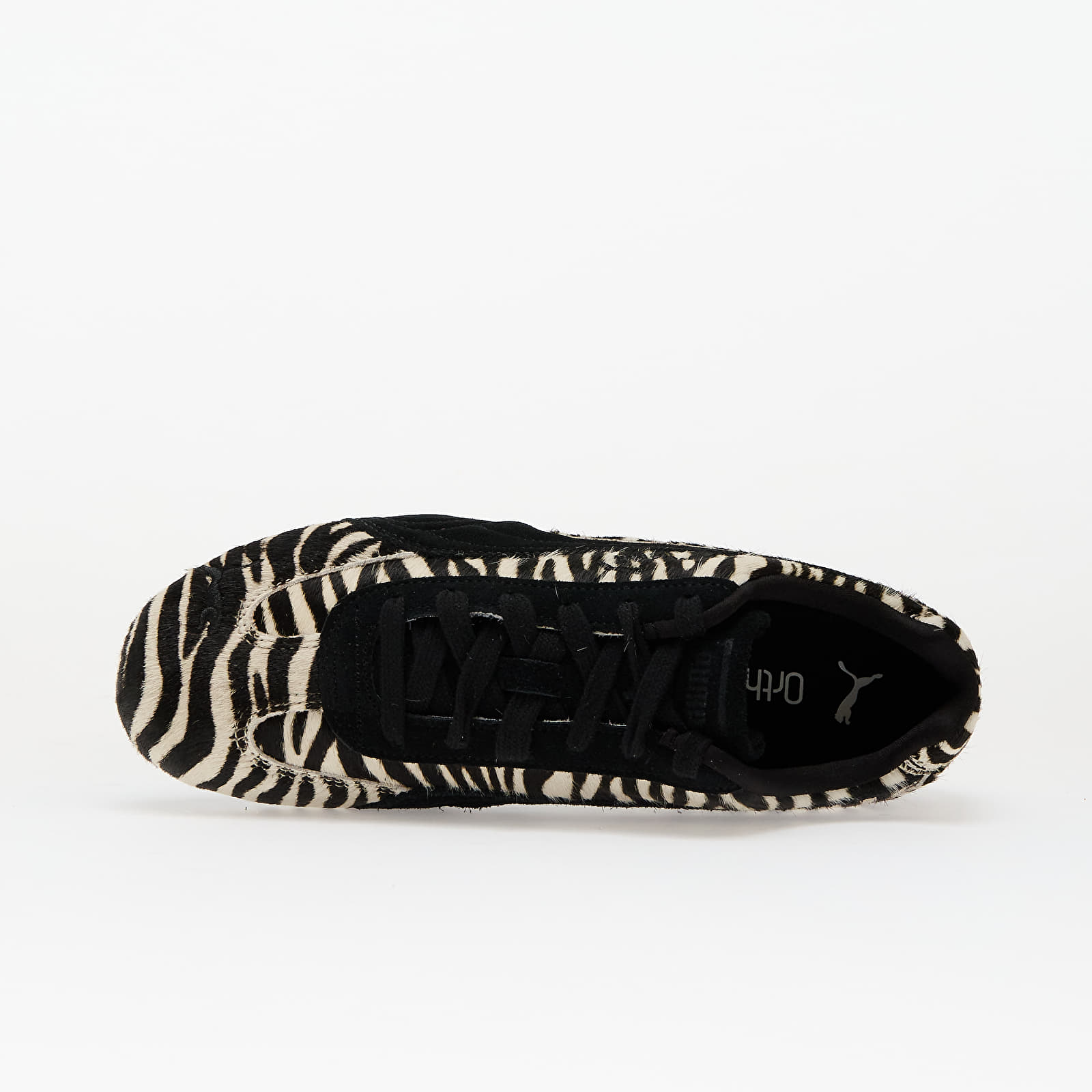 Women's sneakers and shoes Puma Speedcat Zebra Wns Warm White-Puma Black