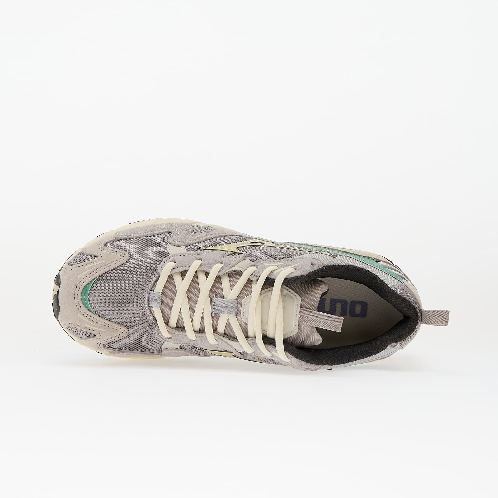 Herenschoenen Mizuno Wave Rider 10 Opal Gray/ Pristine/ Creme De Menthe
