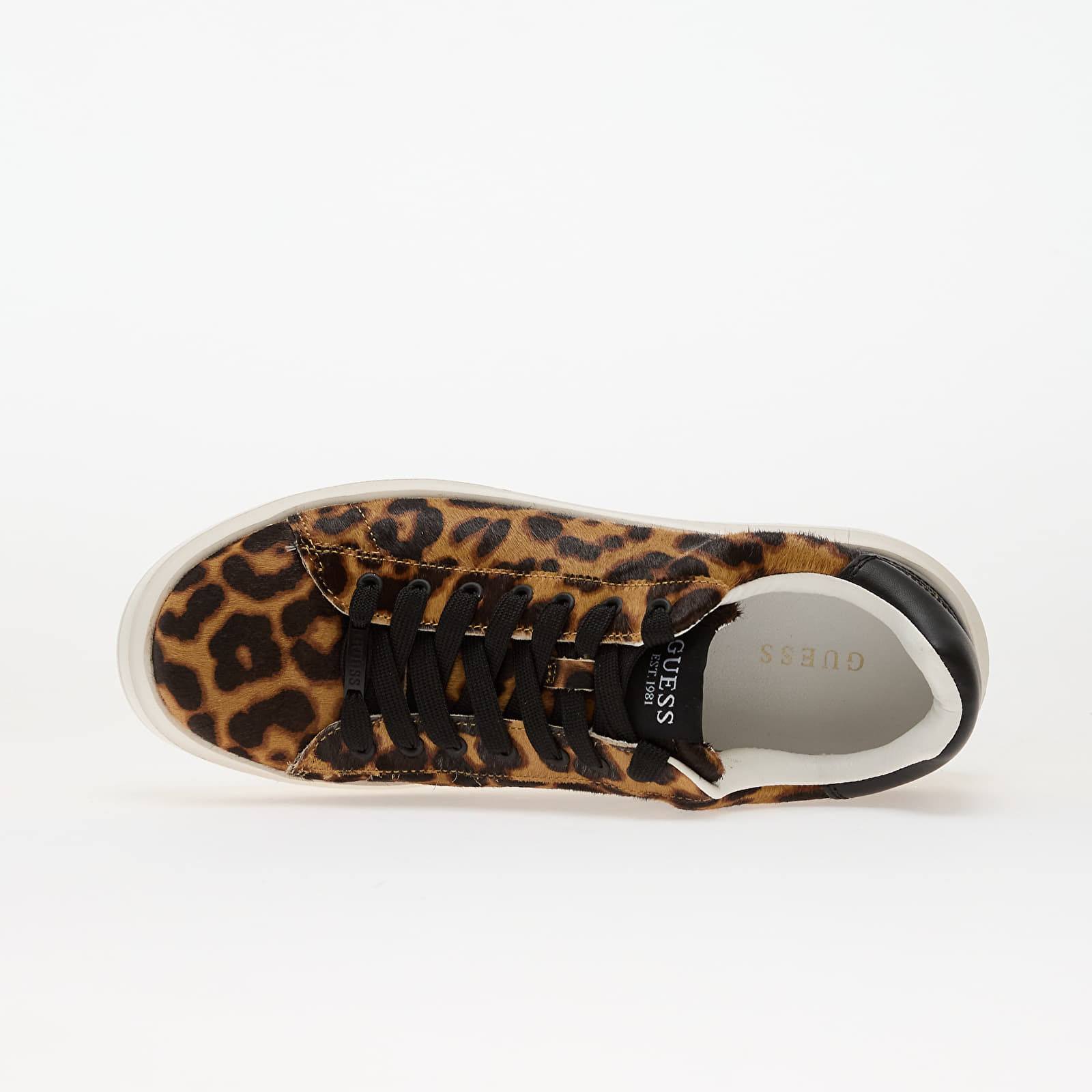 Sneakers und Schuhe für Frauen GUESS Elbina8 Tan