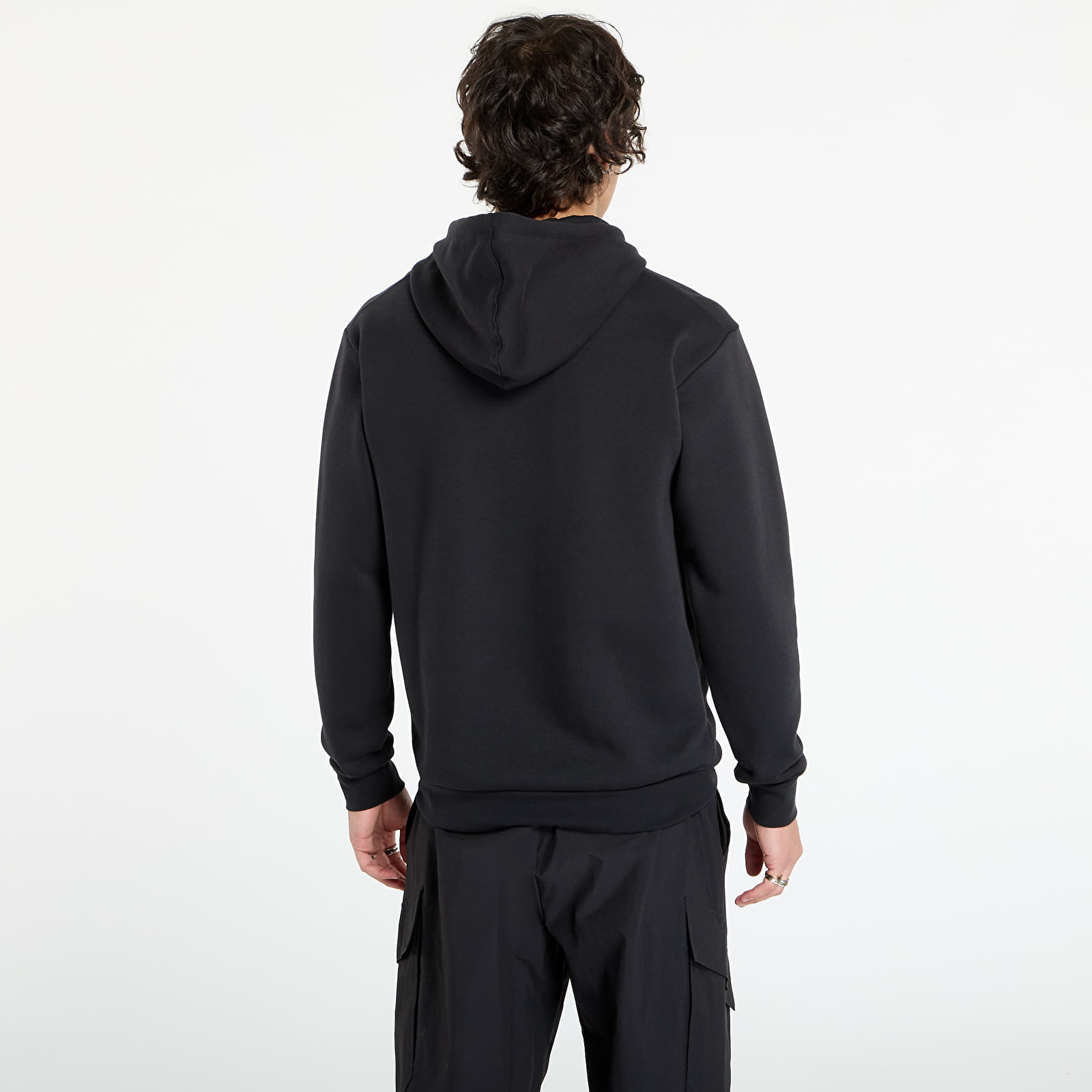 Muške dukserice adidas Terrex Multi Large Logo Hoodie Black