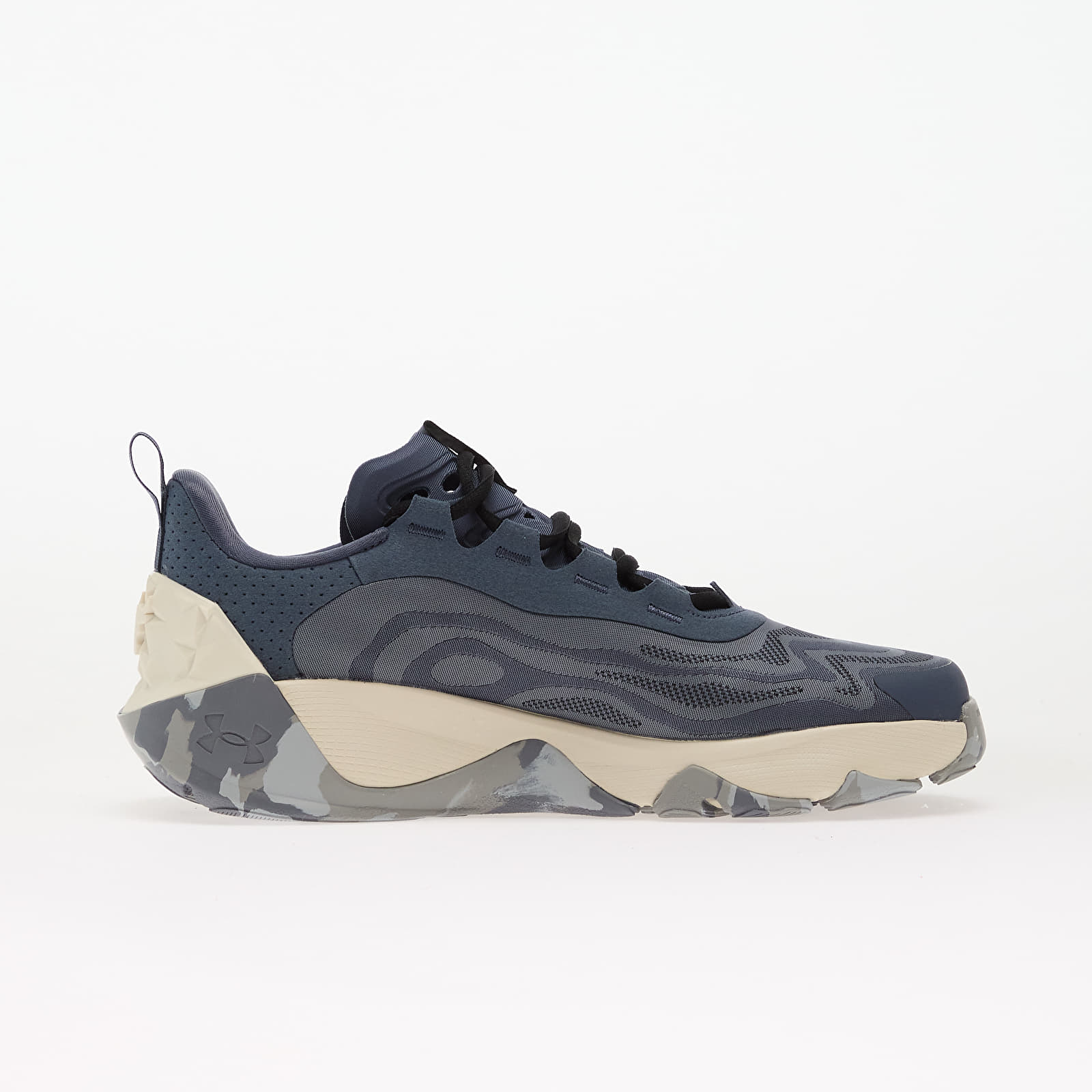 Vīriešu čības un apavi Under Armour Project Rock 8 Grey