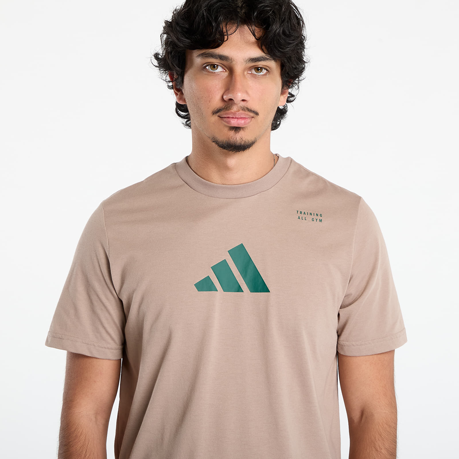 Vīriešu T-krekli adidas CLIMACOOL Category Training Graphic T-Shirt Chalky Brown/ Earth Strata