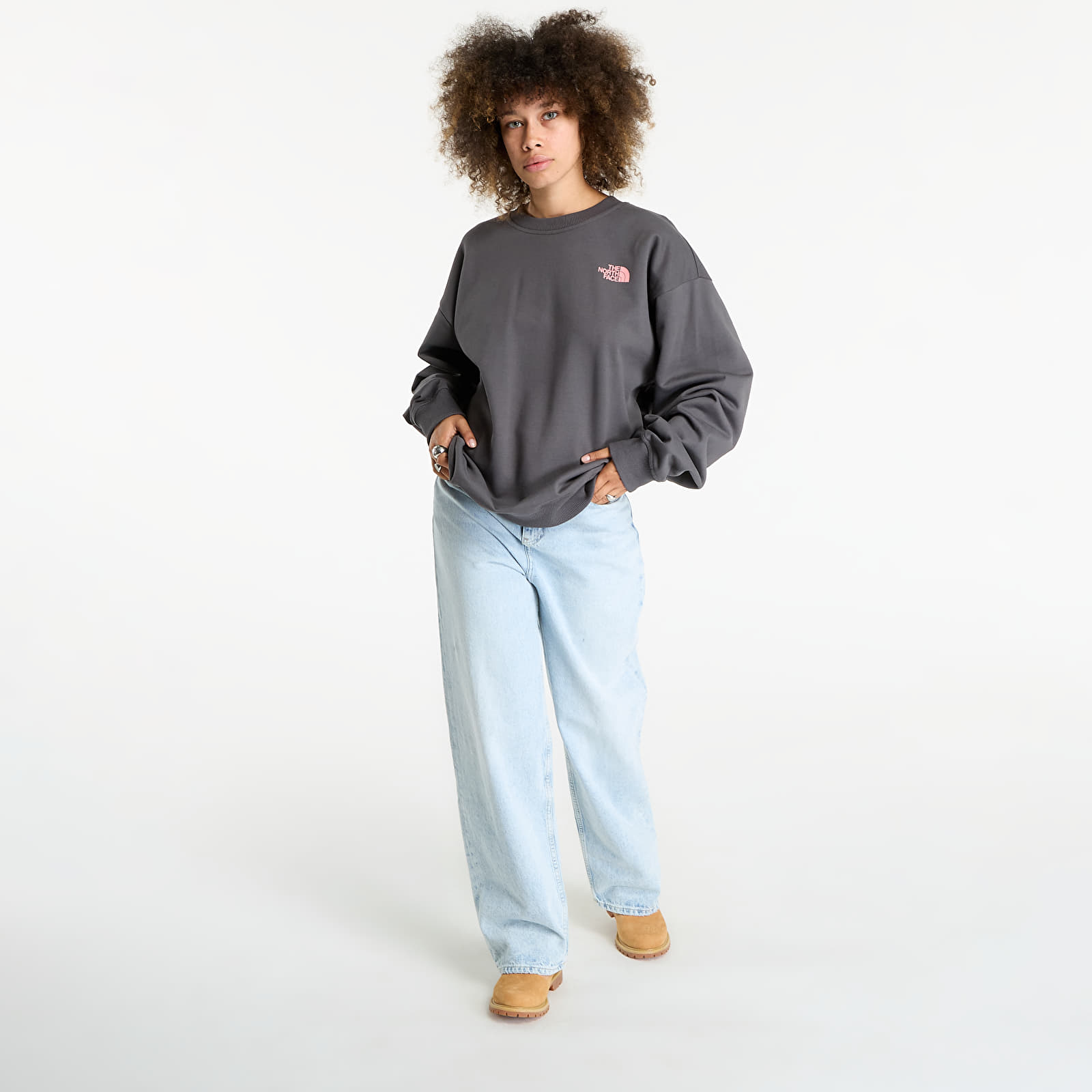 Pánske mikiny The North Face U Expedition Celebration Oversized Crew UNISEX Anthracite Grey