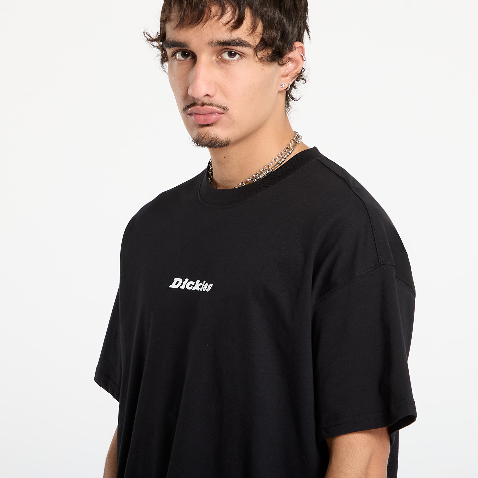 Pánská trička Dickies Enterprise Ss Tee Black